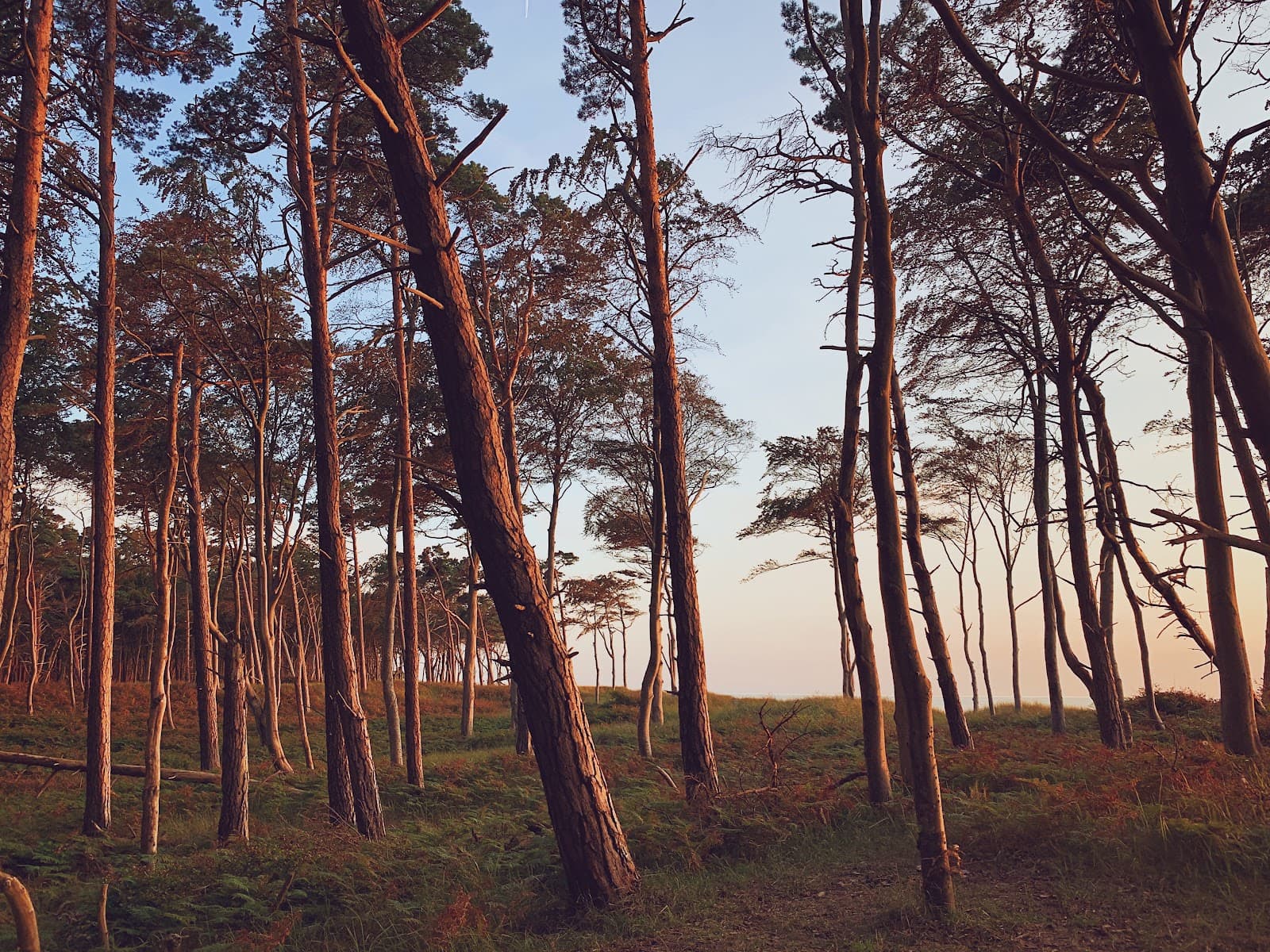 Western Pomerania Lagoon Area National Park - Image 1