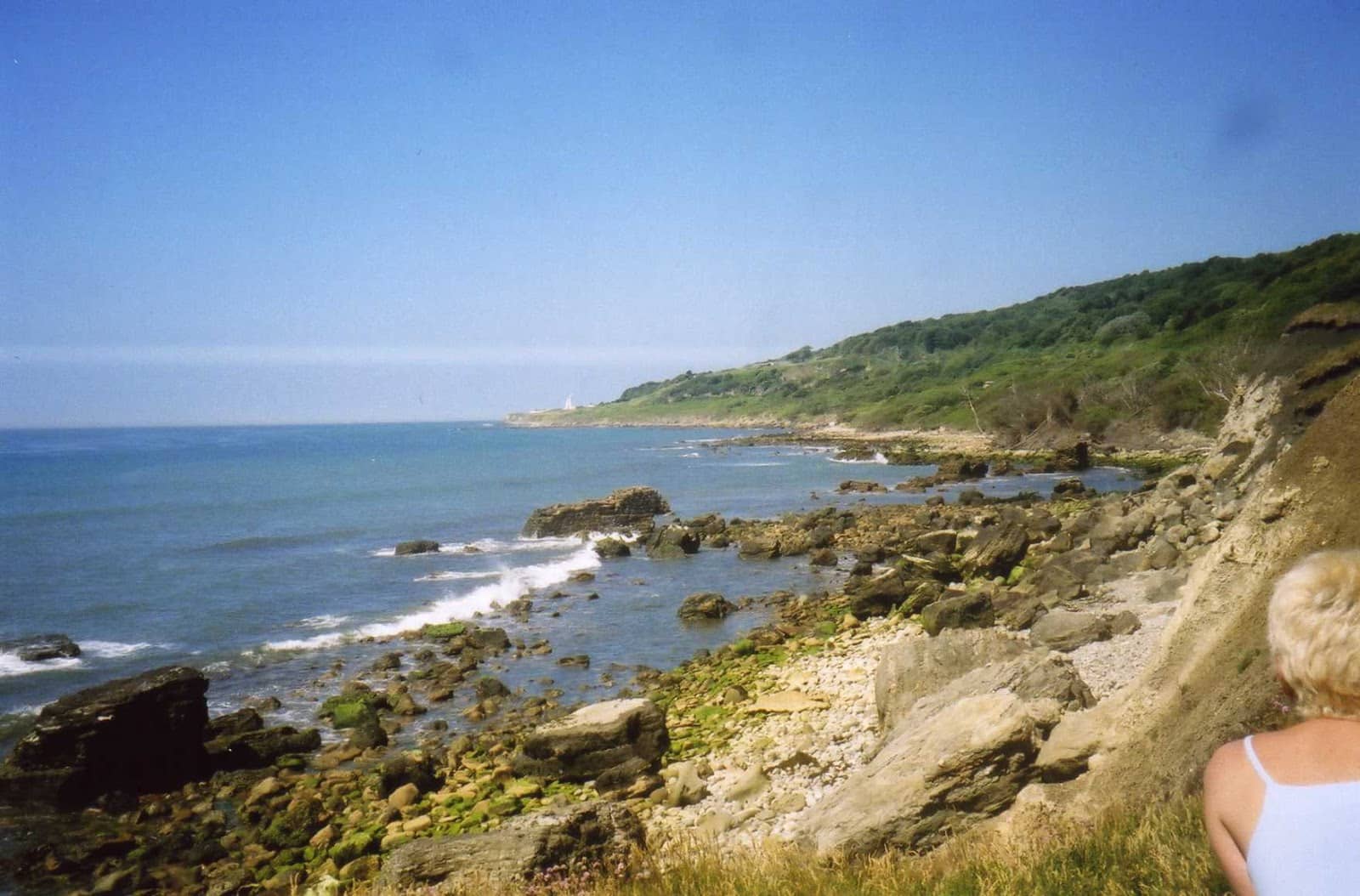 Vertical photo