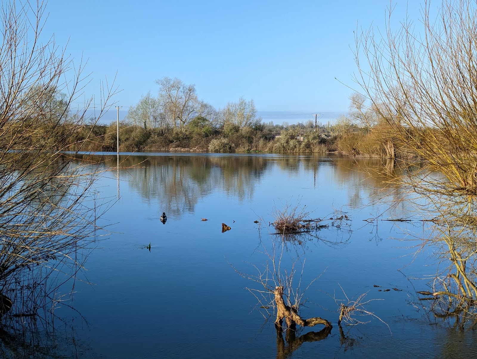 Cricklade North Meadow NNR - Image 1
