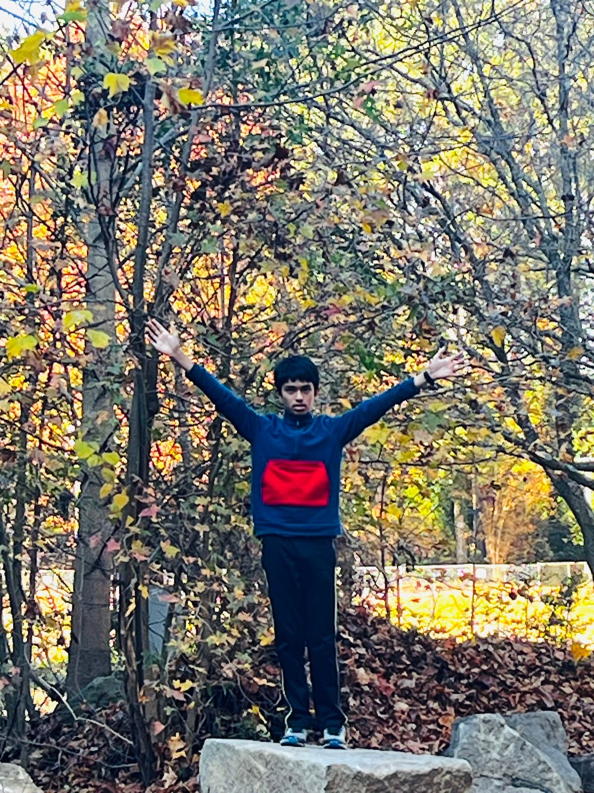 Confederate Memorial Carving Stone Mountain - Image 1