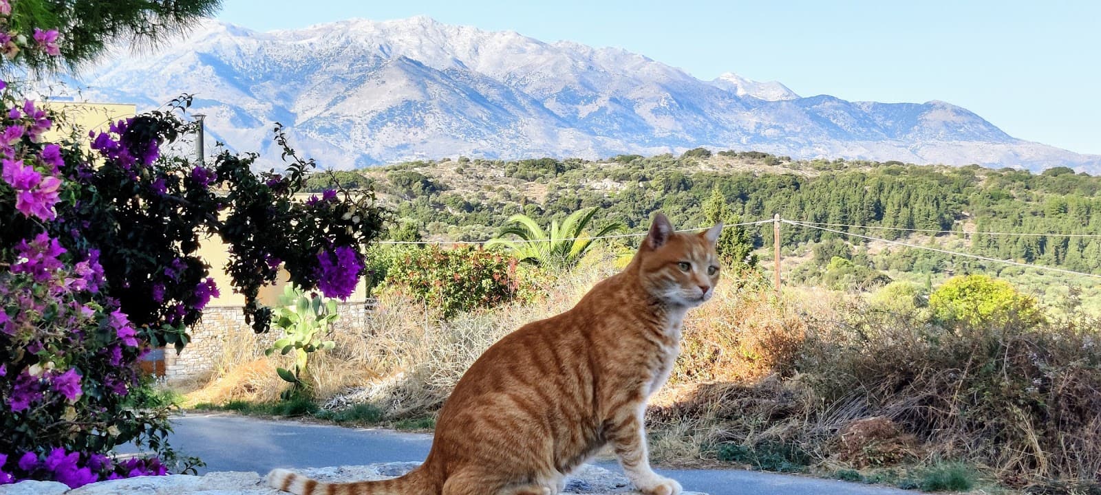 Vamos Old Village - Image 1