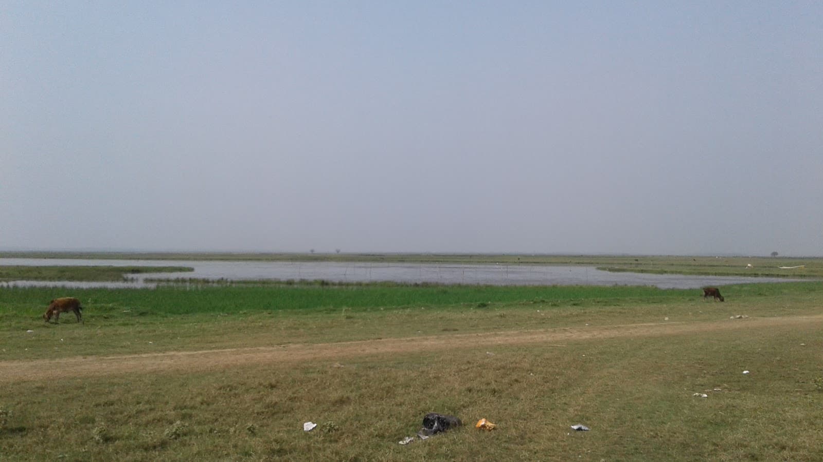 Hakaluki Haor - Image 1