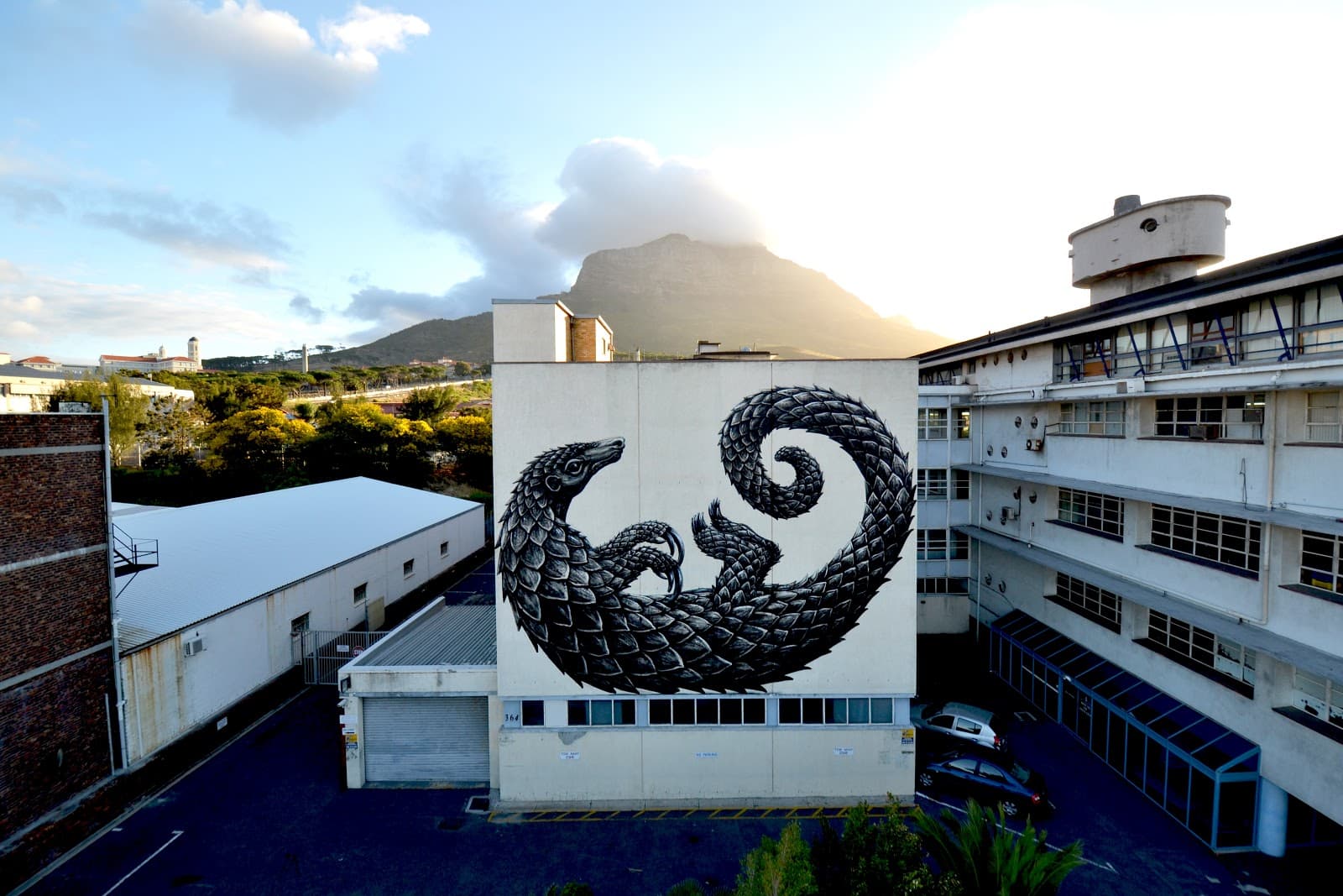 Salt River murals Cape Town - Image 1