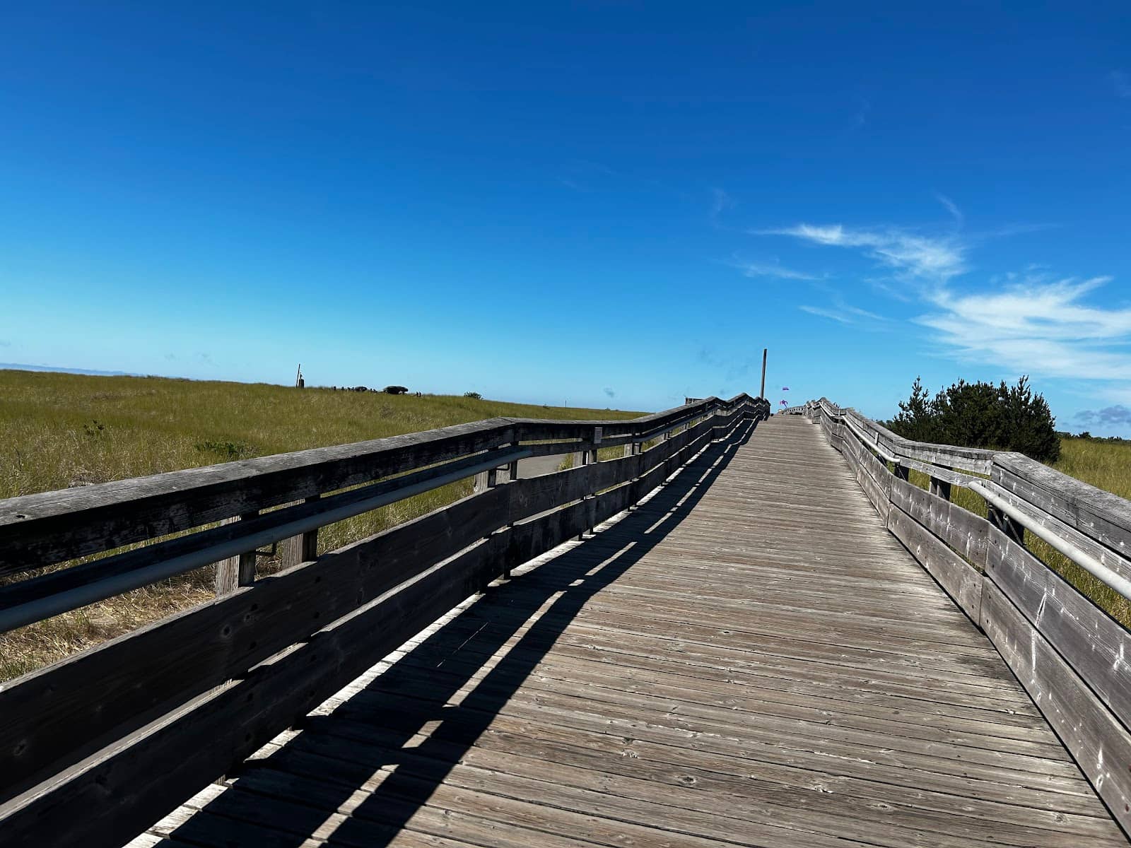 Beach Driving & Picnics