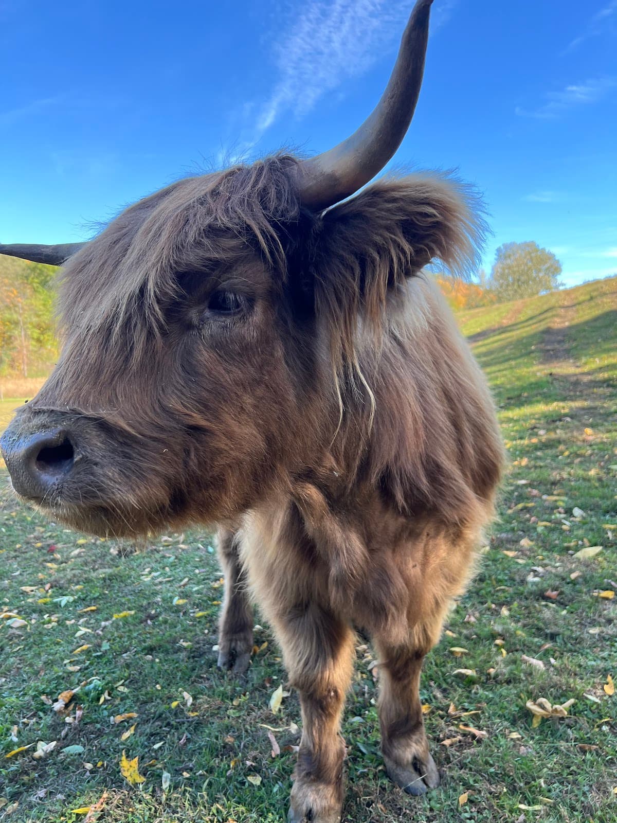 Elk Ravine Farm - Image 1