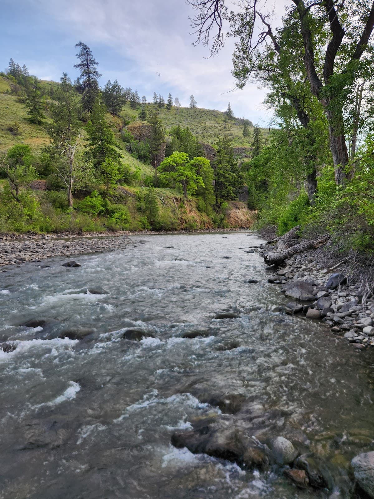 Tieton River Nature Trail - Image 1