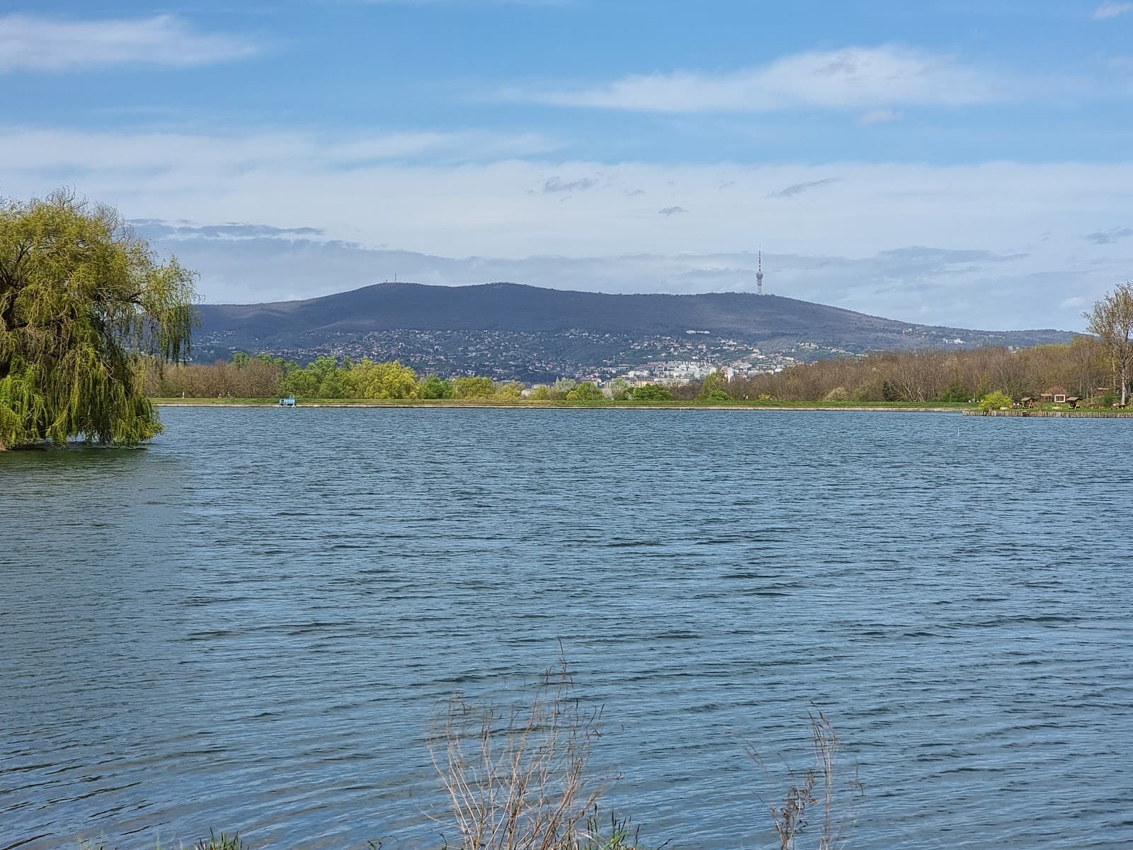 Malomvölgy Park and Lakes - Image 1