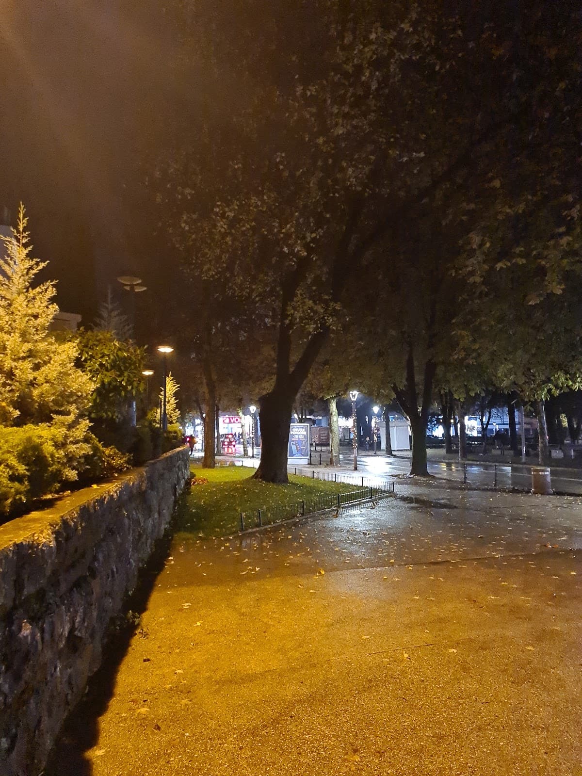 Njegoševa Street - Image 1
