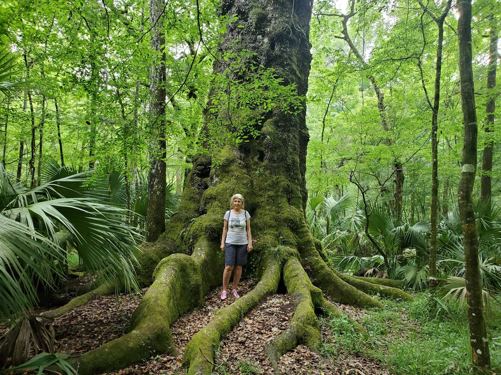 Wildlife Spotting Opportunities