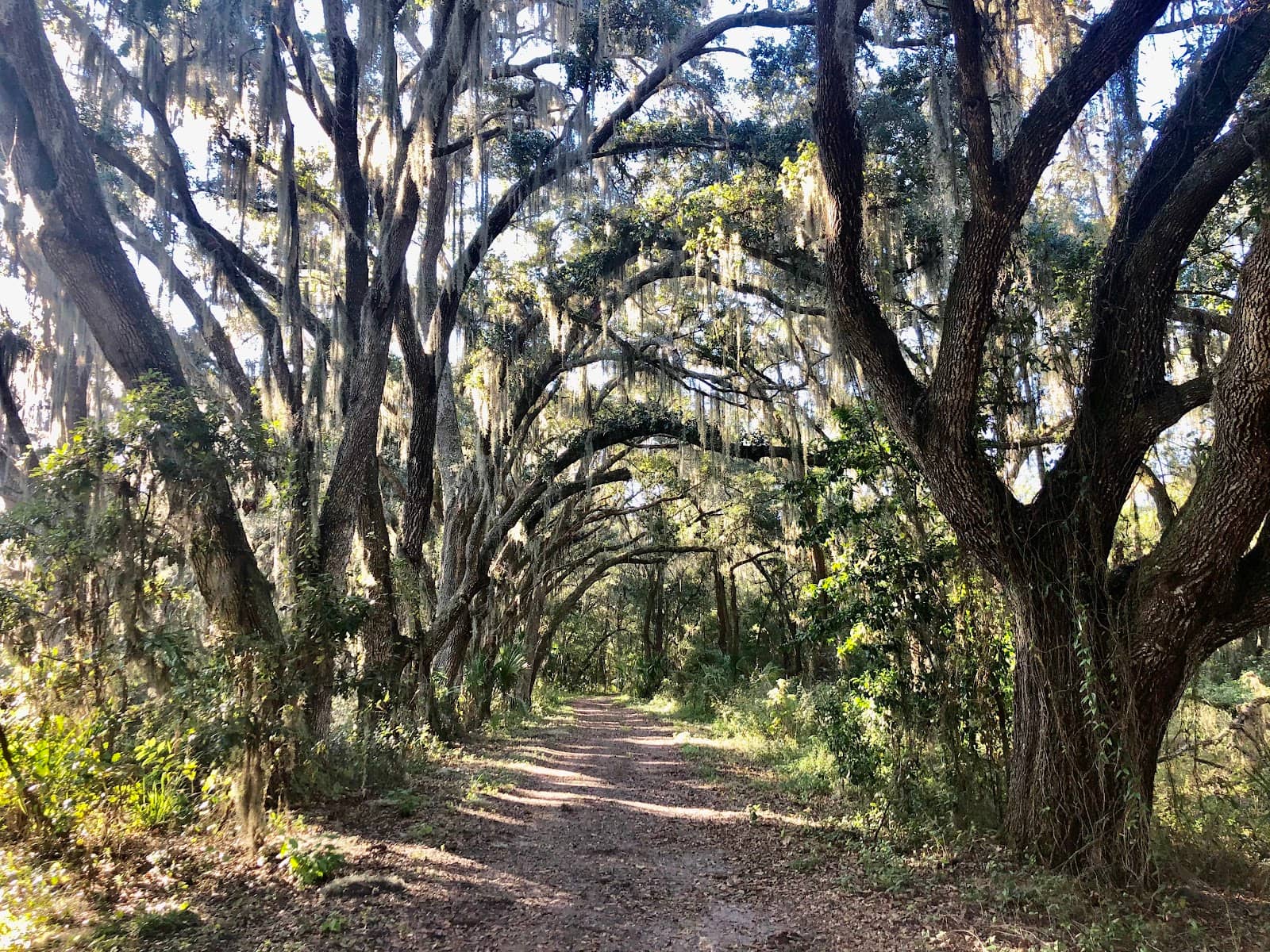 Creek Crossings
