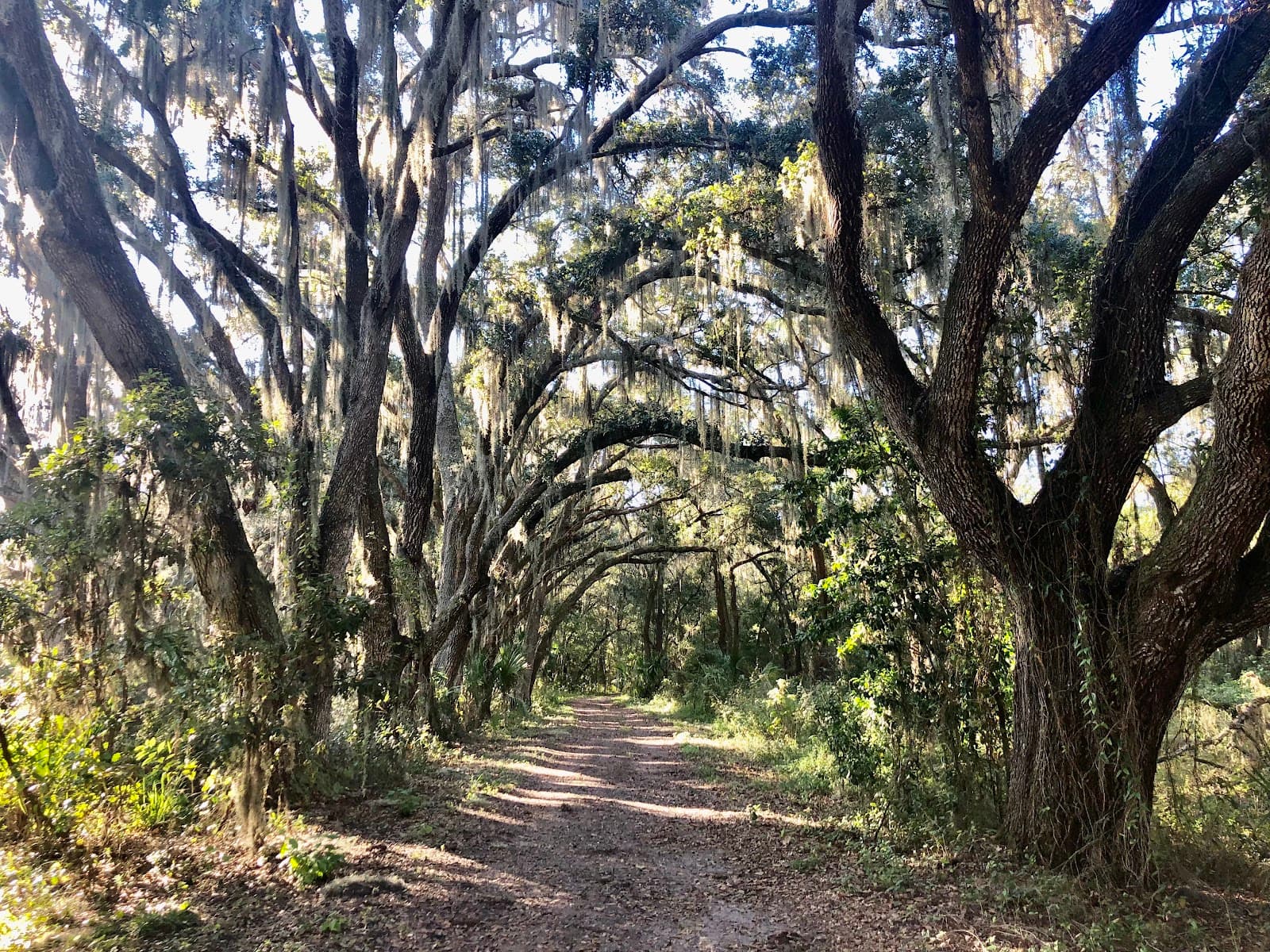 Triple Creek Nature Preserve Riverview FL - Image 1
