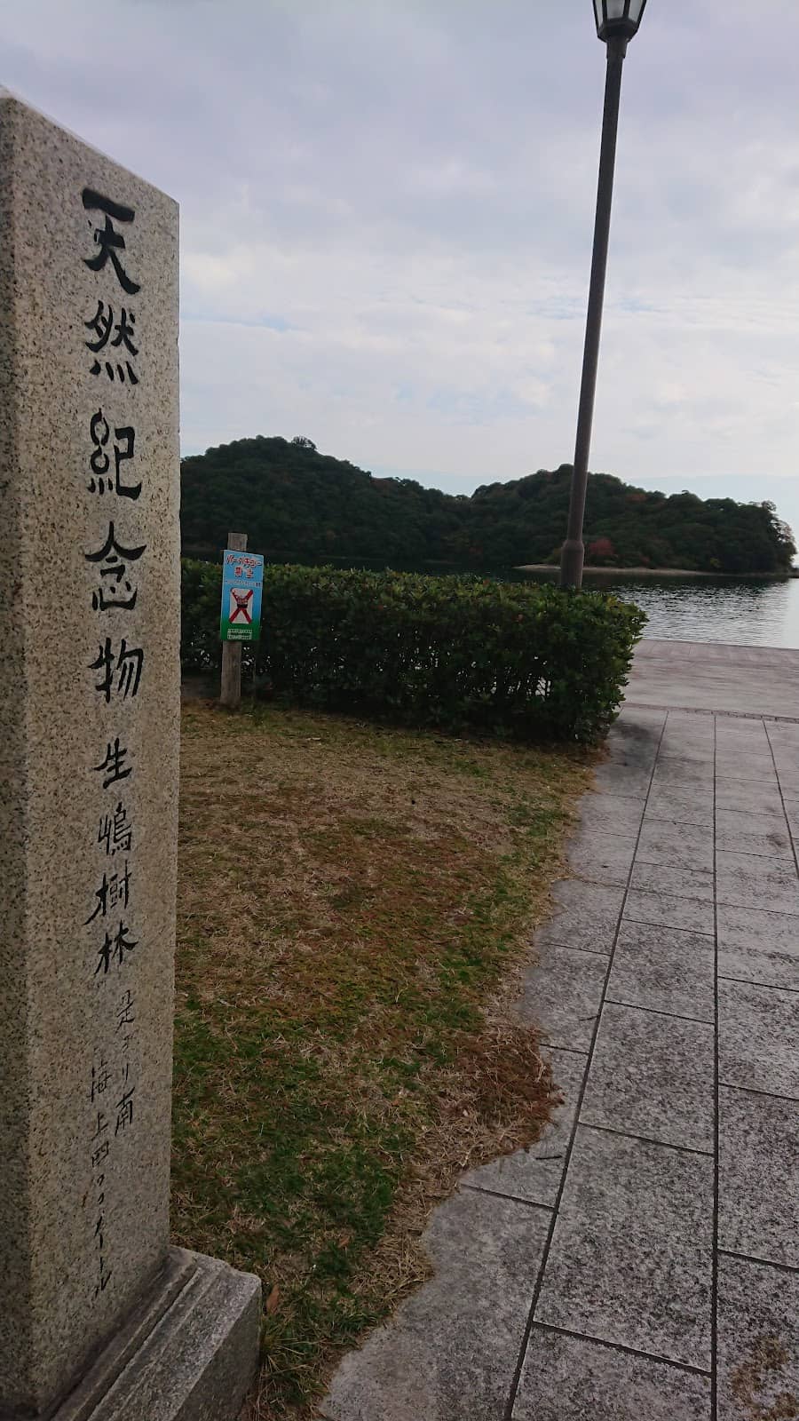 Vertical photo