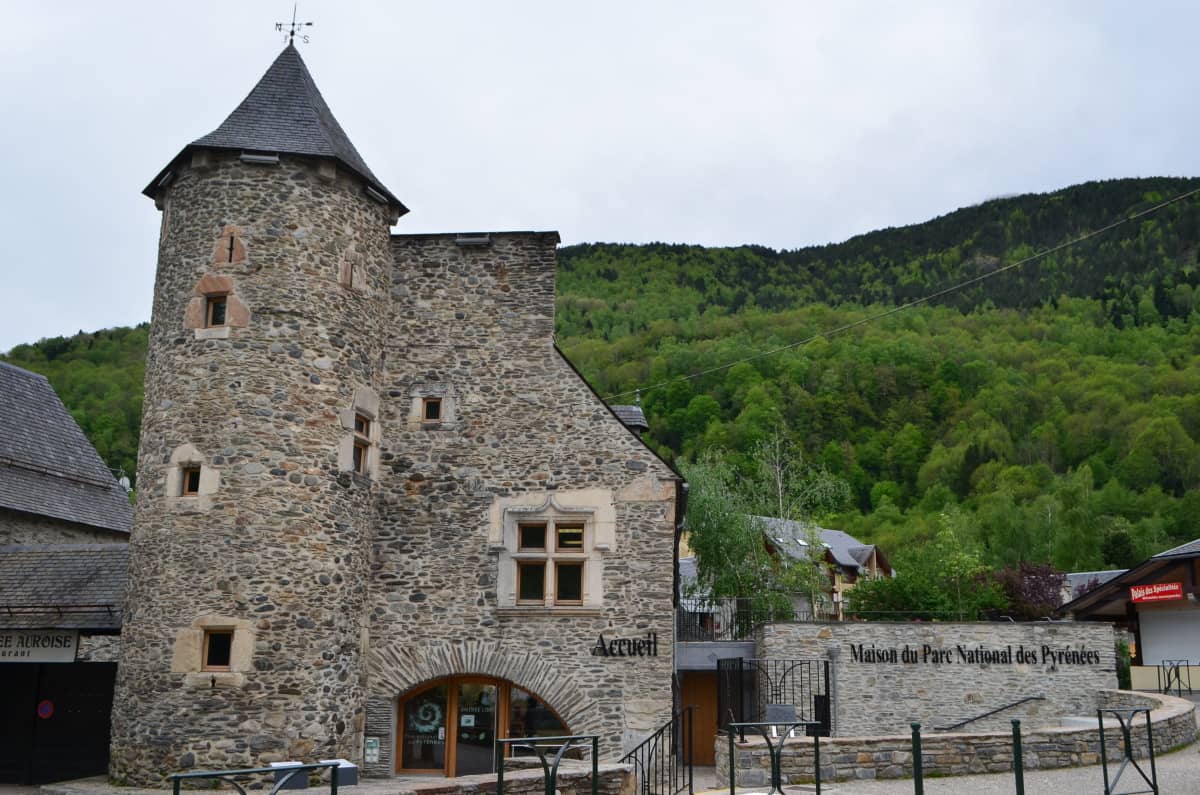 Local Flora and Fauna Exhibits