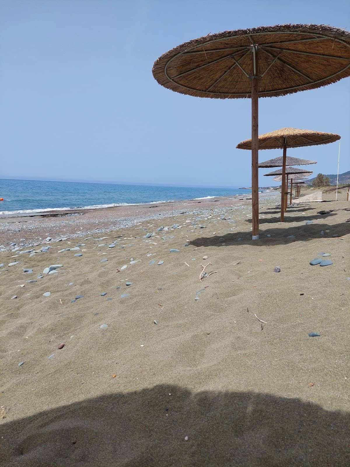 Turtle Nesting Spot