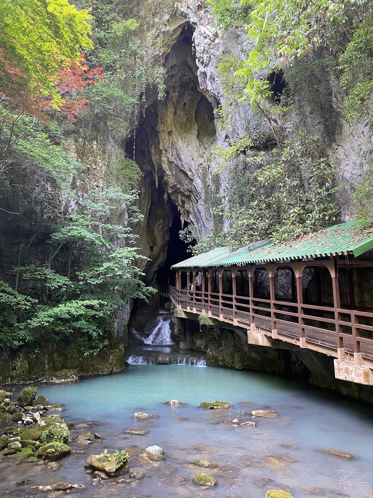 Akiyoshidai Nature Trail - Image 1