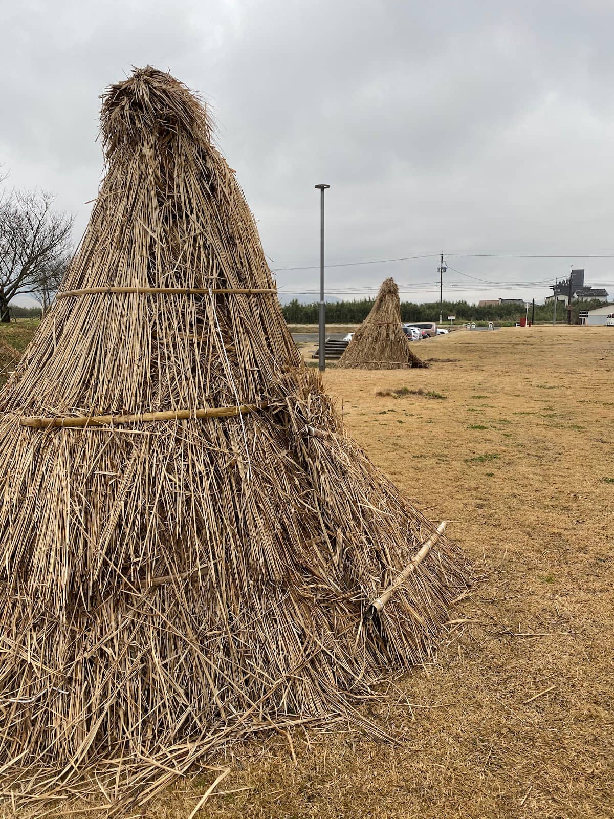 Volunteer Opportunities