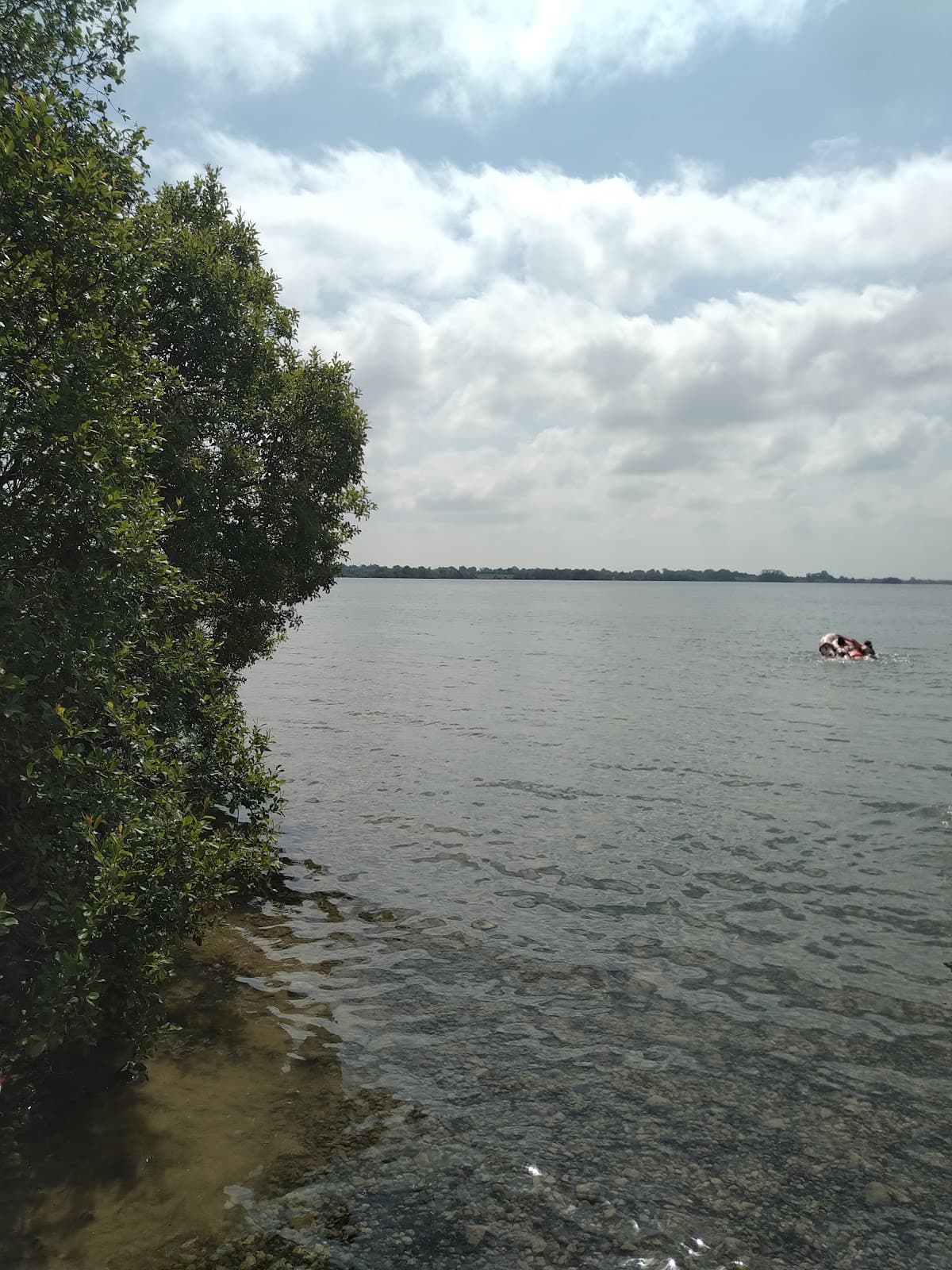 Tudenham Shore, Lough Ennell - Image 1