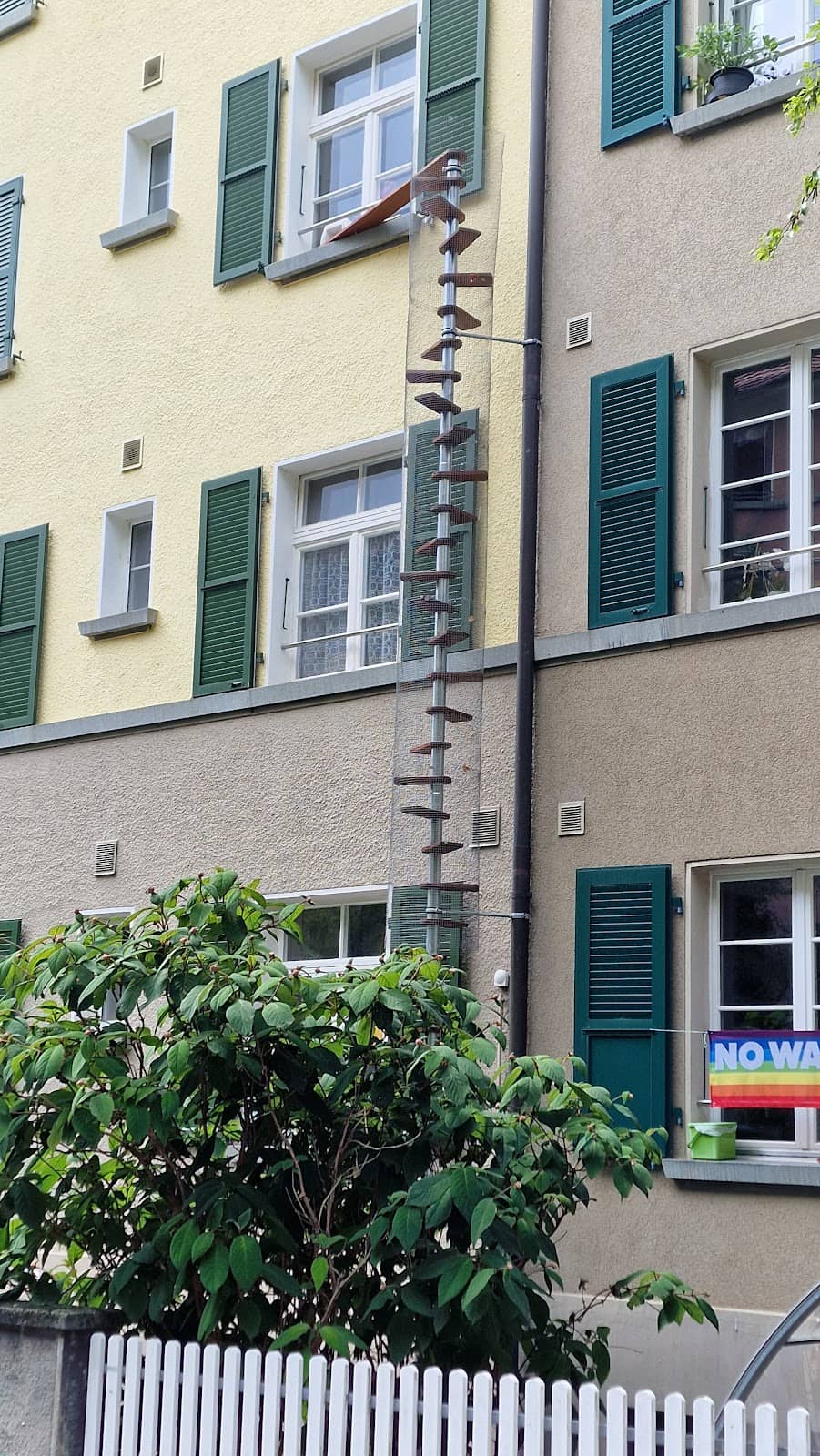 Vertical photo