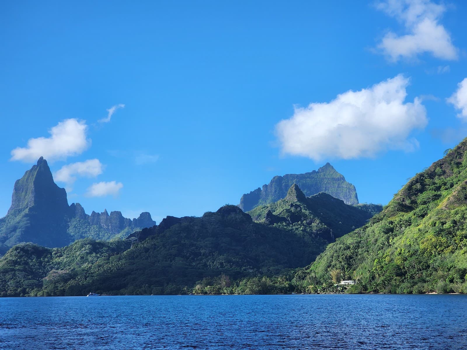 Opunohu Bay Moorea - Image 1