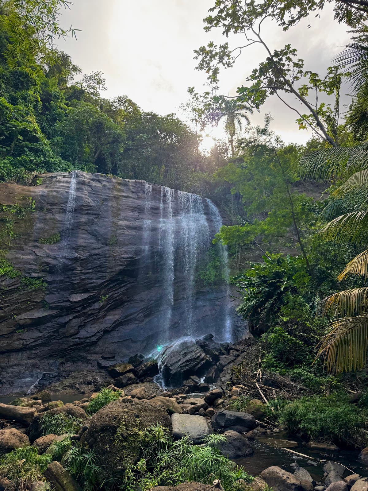 Royal Mt. Carmel Falls - Image 1
