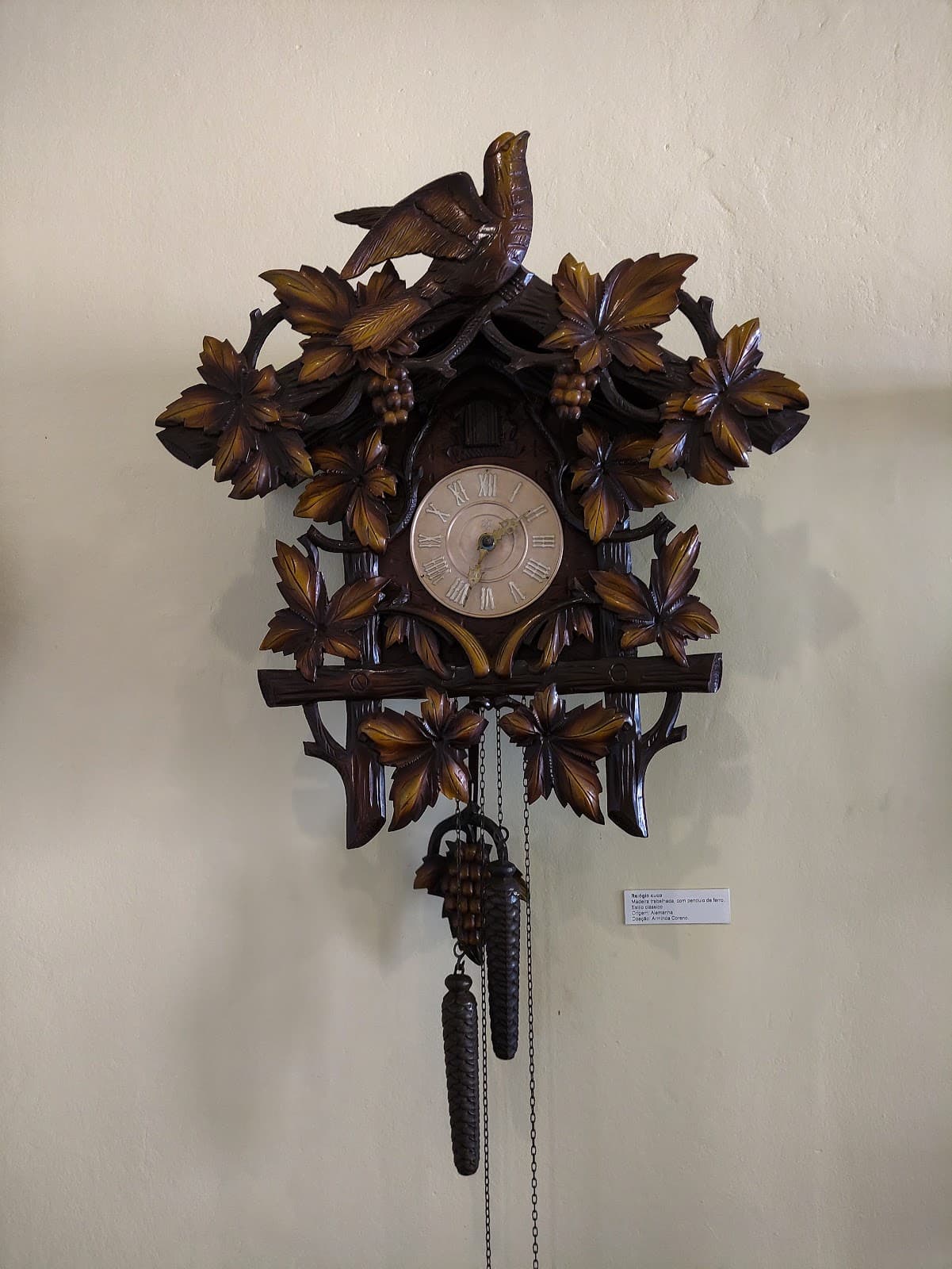 Museu Municipal Oswaldo Russomano Bragança Paulista São Paulo - Image 1