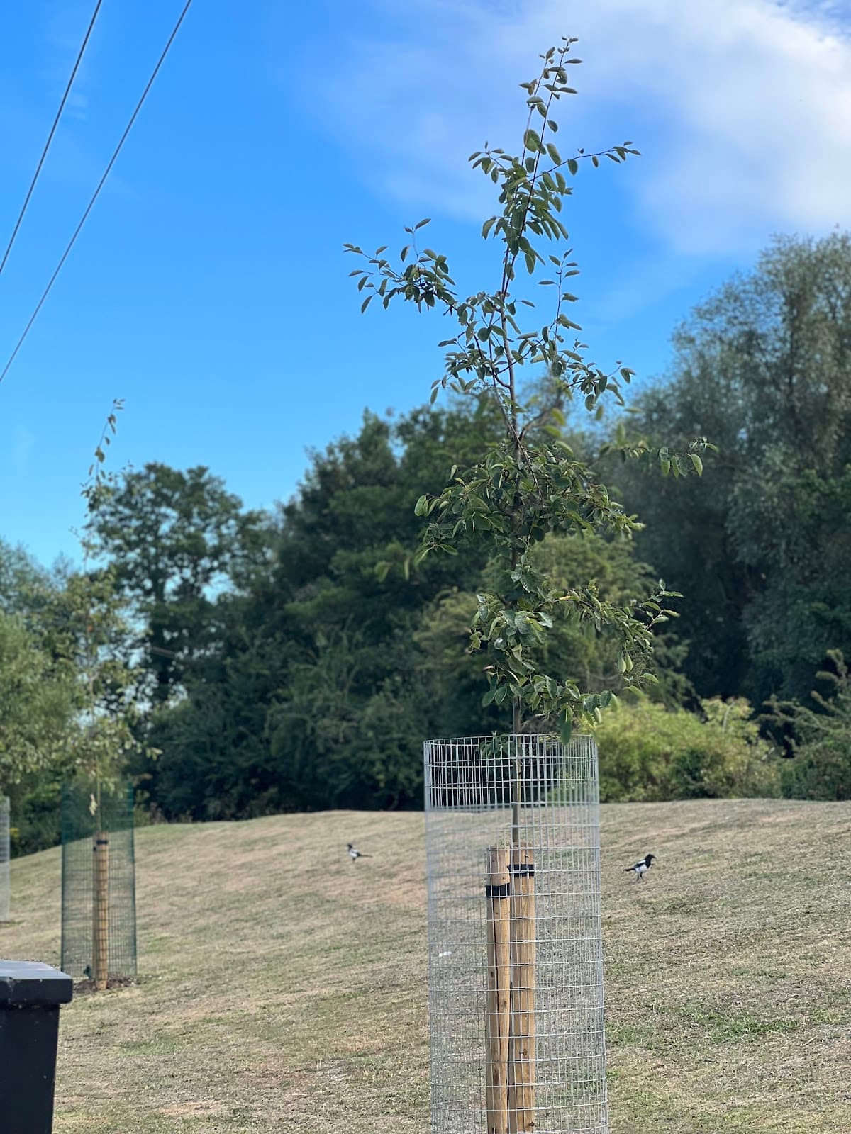 Ashford Green Corridor (River Stour) - Image 1