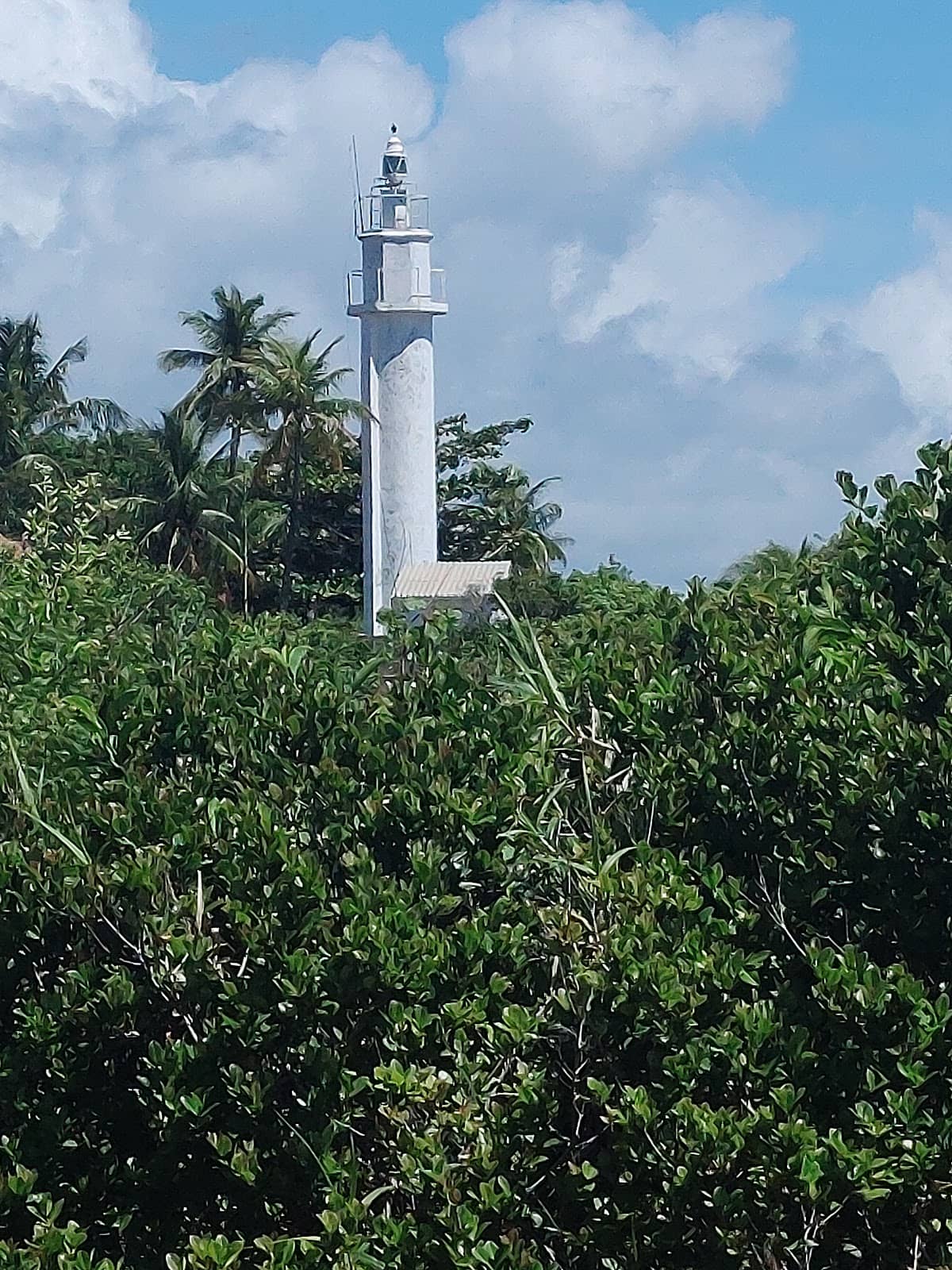 Vertical photo