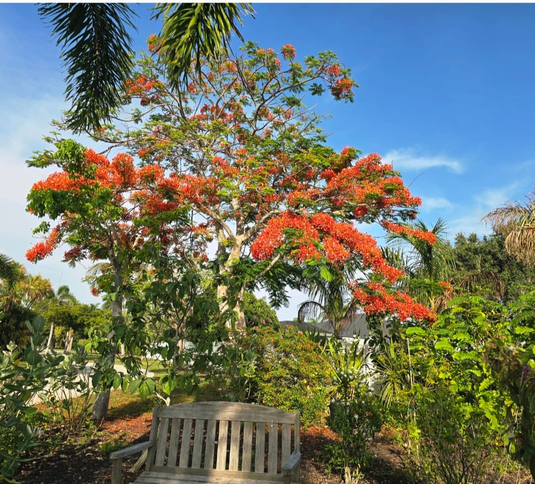 Peaceful Benches