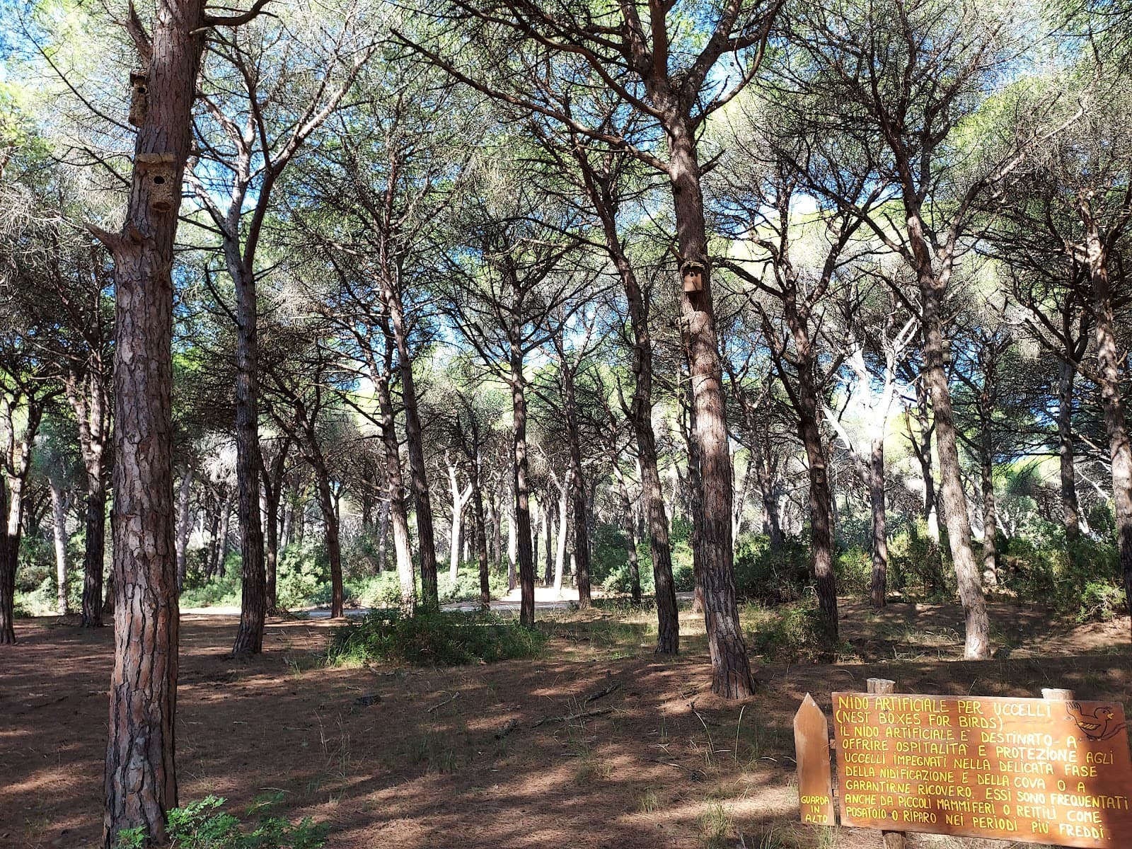 Feniglia Dunes Reserve - Image 1