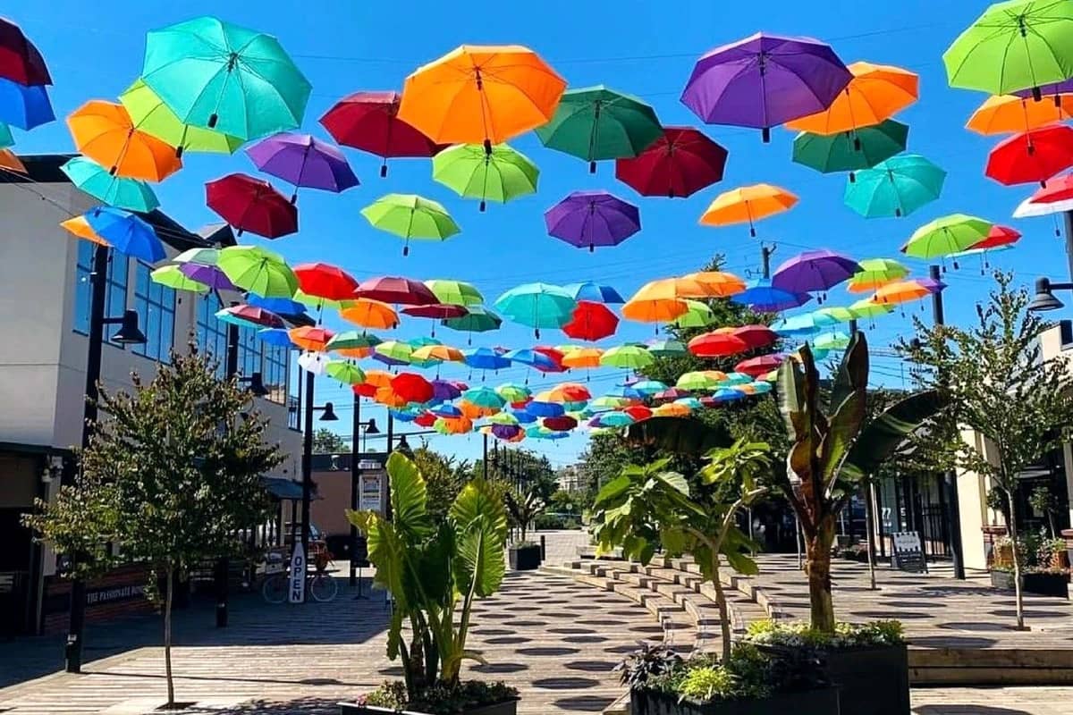 Community Gathering Space