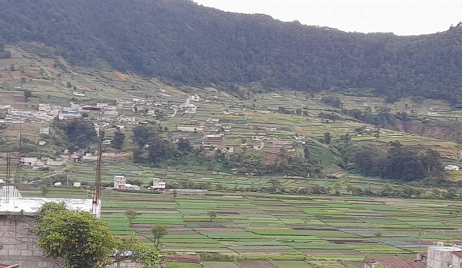 Agricultural Landscapes