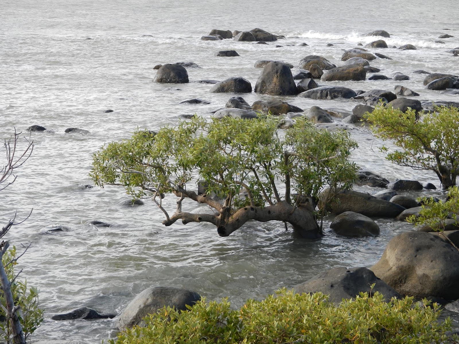Mission Beach - Image 1