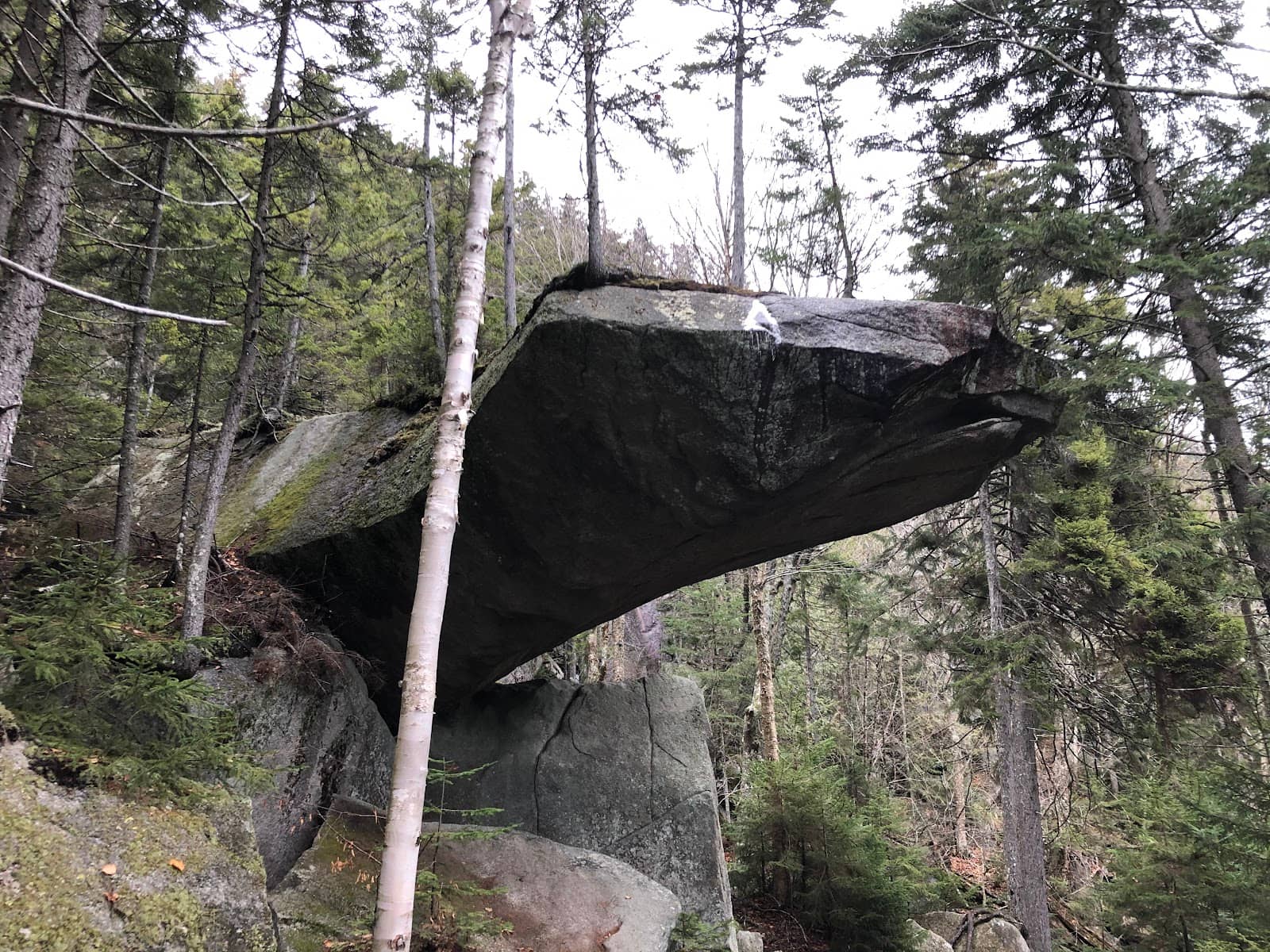 Three Ponds Trail