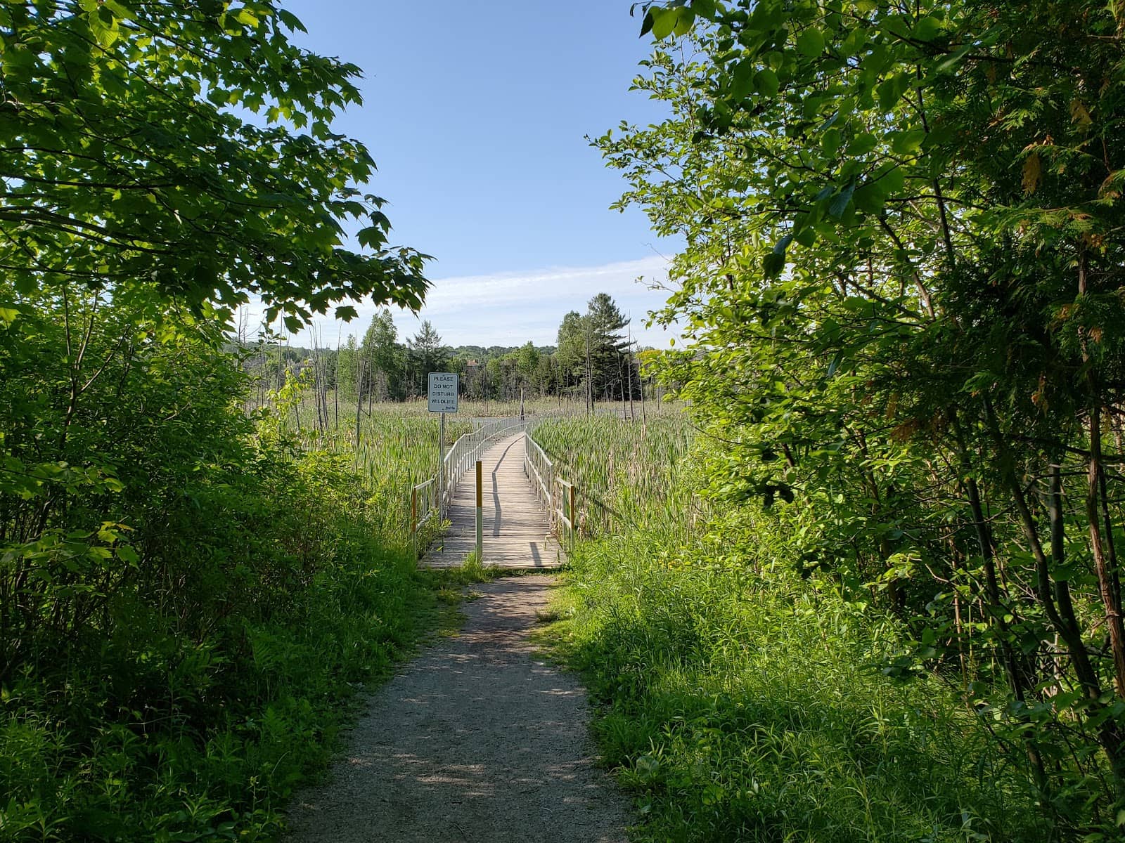Wildlife Lookout