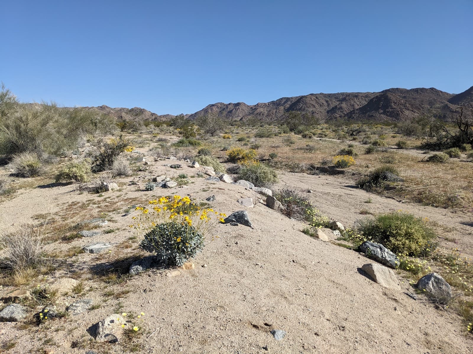 Bajada Nature Trail - Image 1