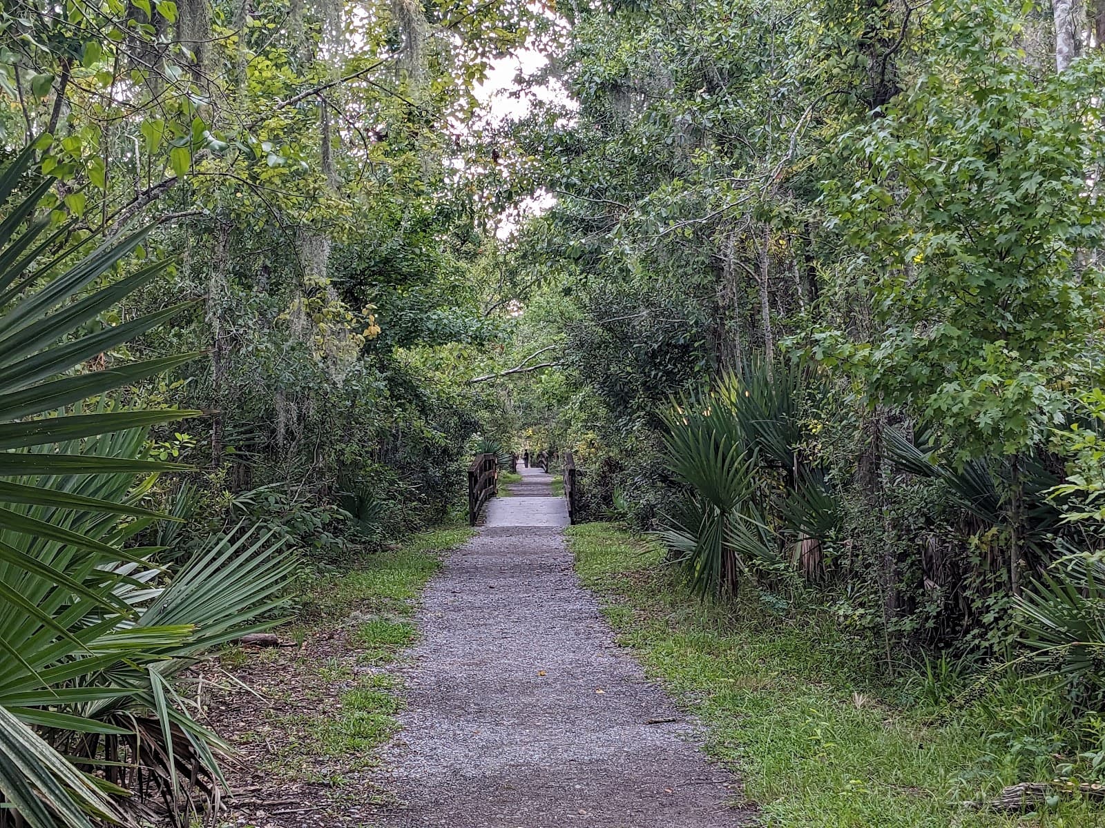 Palmetto Trail - Image 1