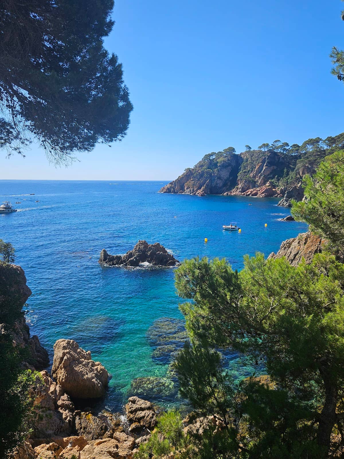 Snorkeling Paradise