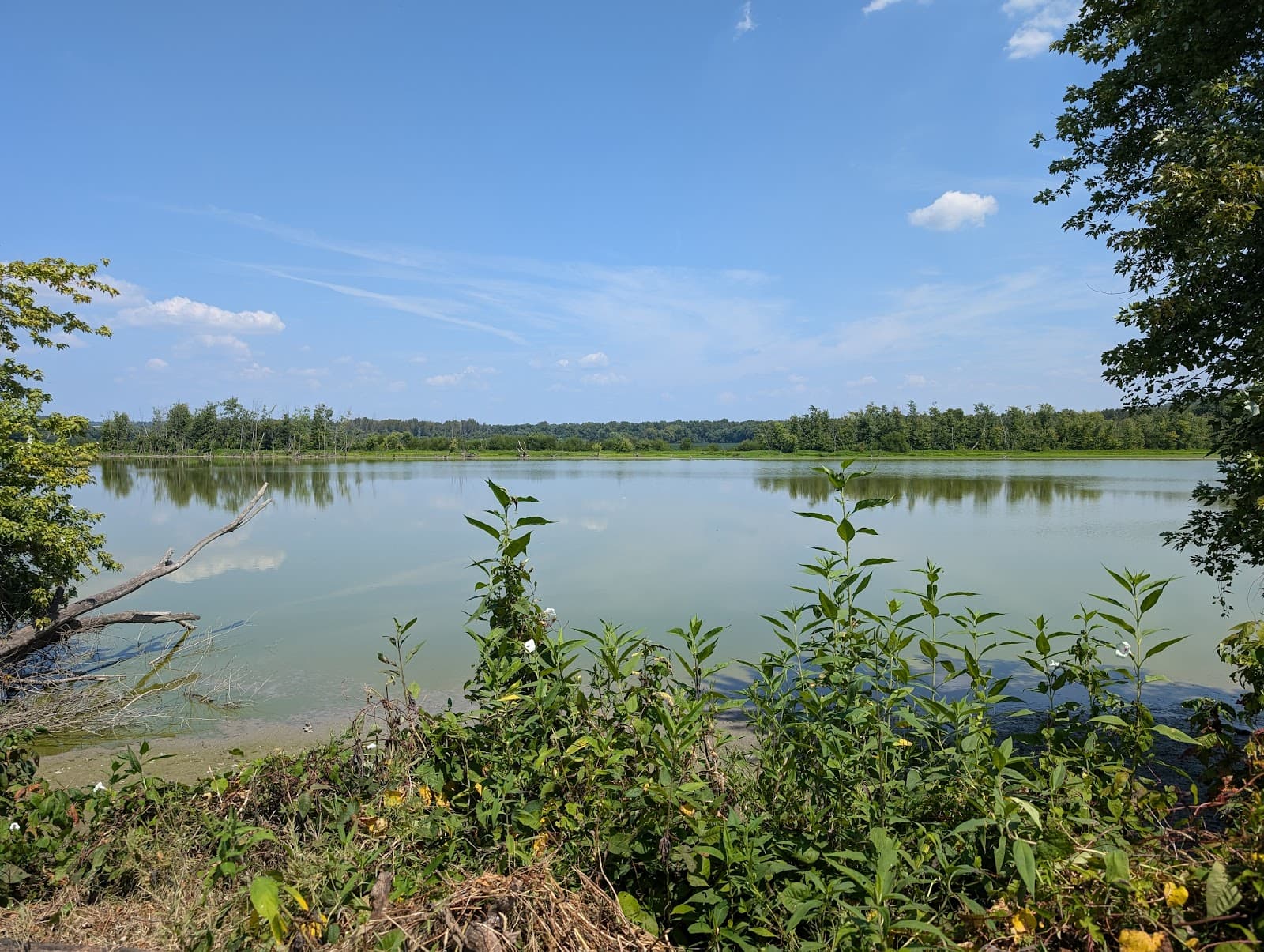 Oxbow Nature Preserve - Image 1