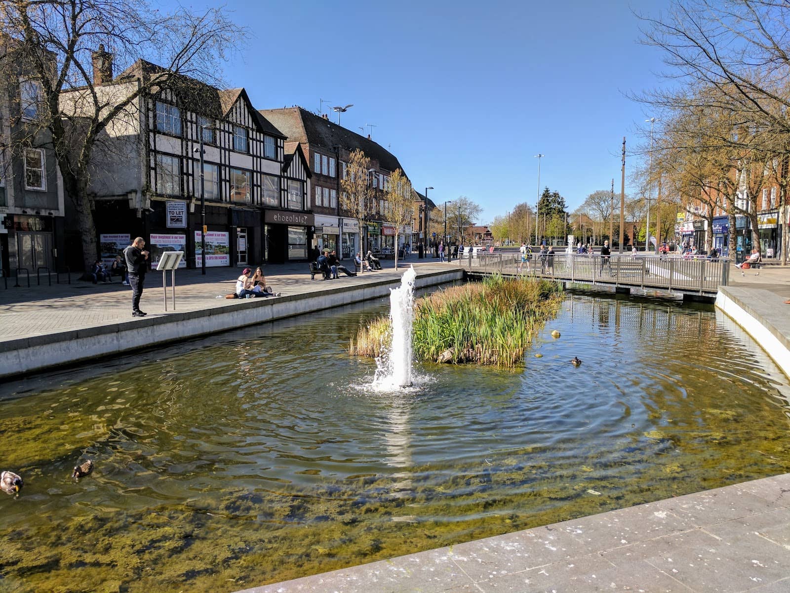 Live Musical Performances