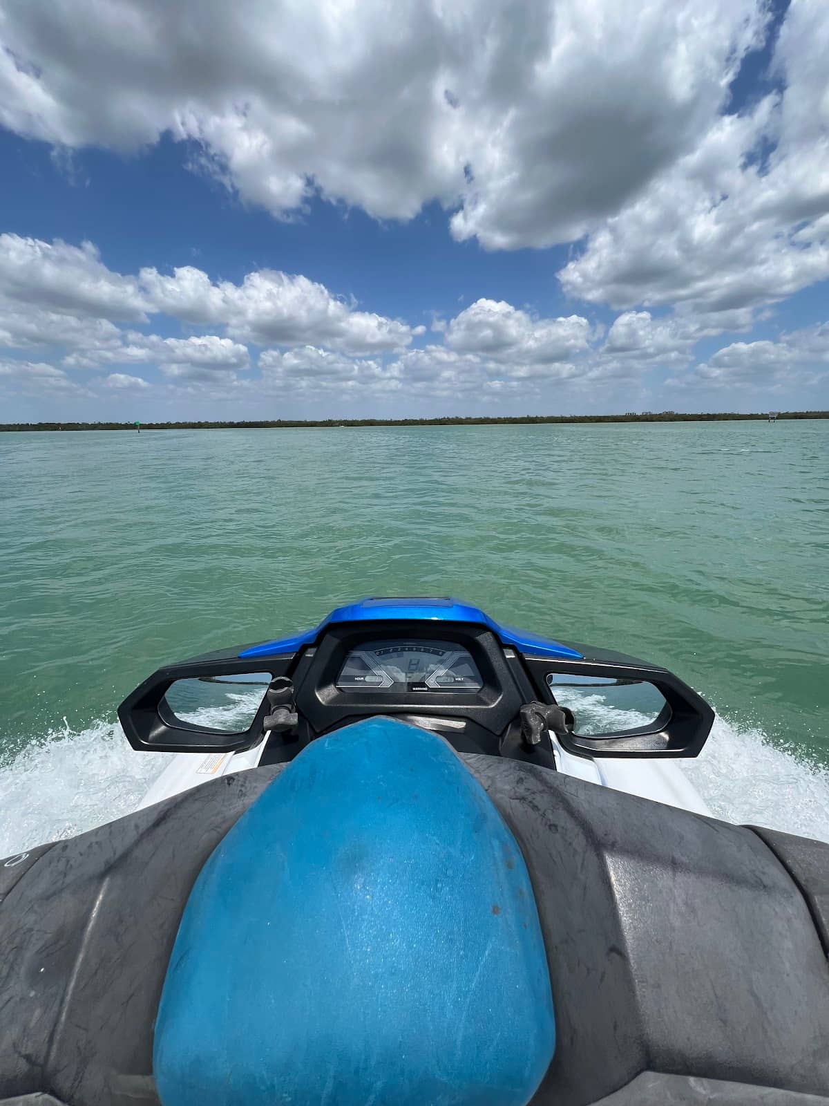 Dolphin Sightings