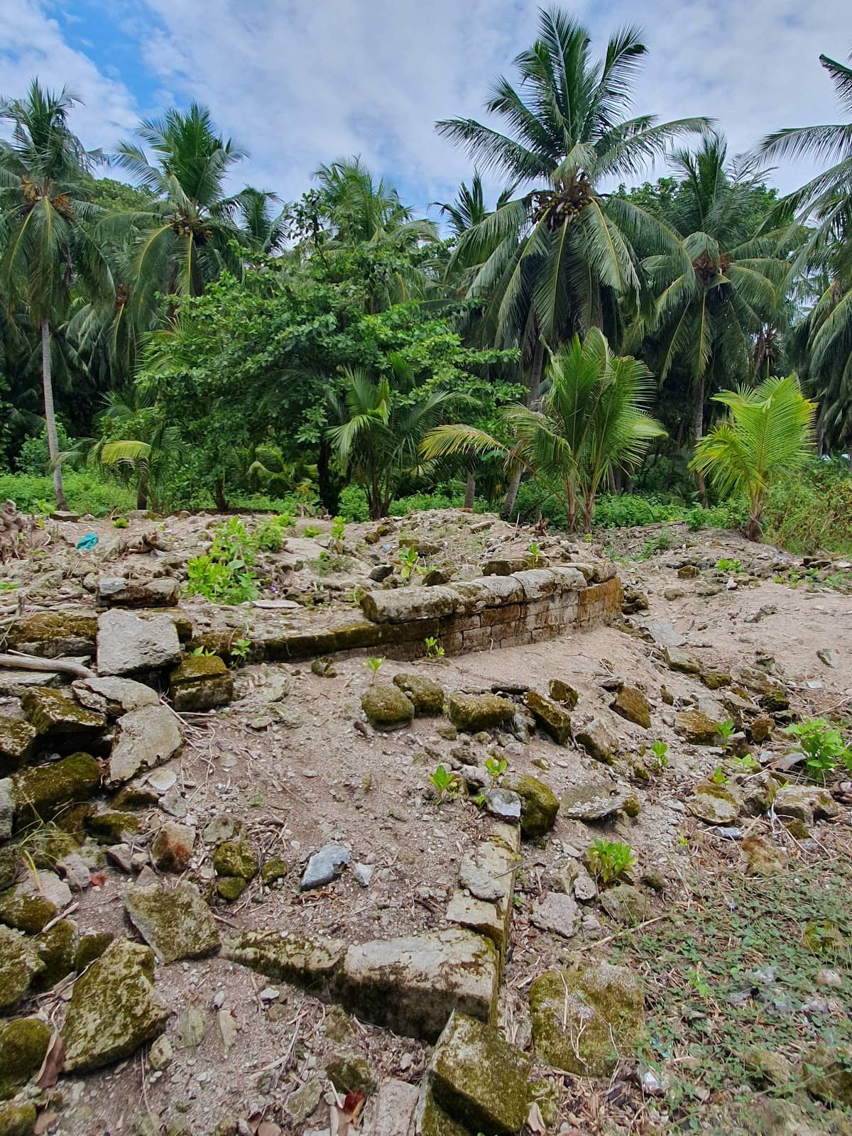 Marine Life Encounters