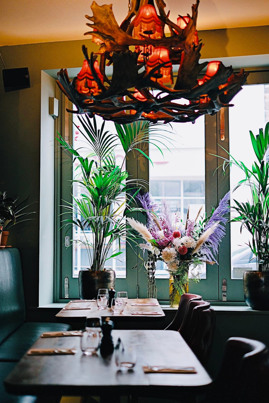 The Pollet - Image 1