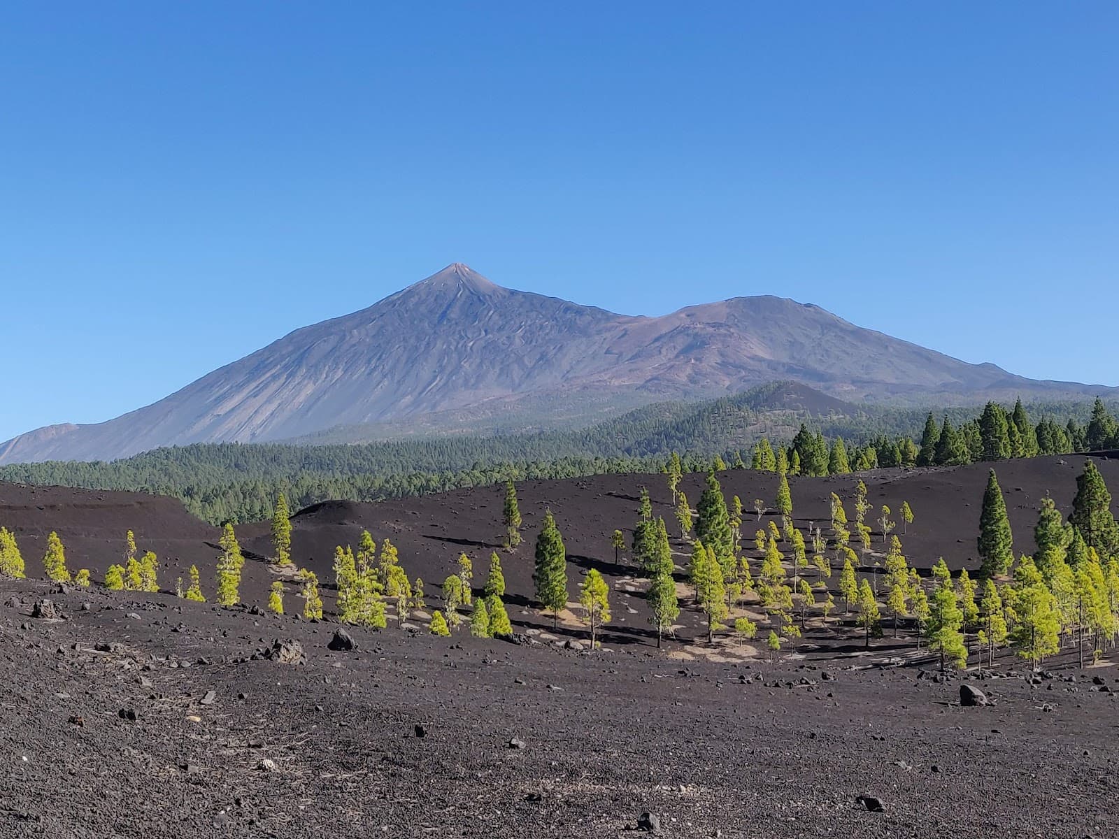 Chinyero Special Nature Reserve - Image 1