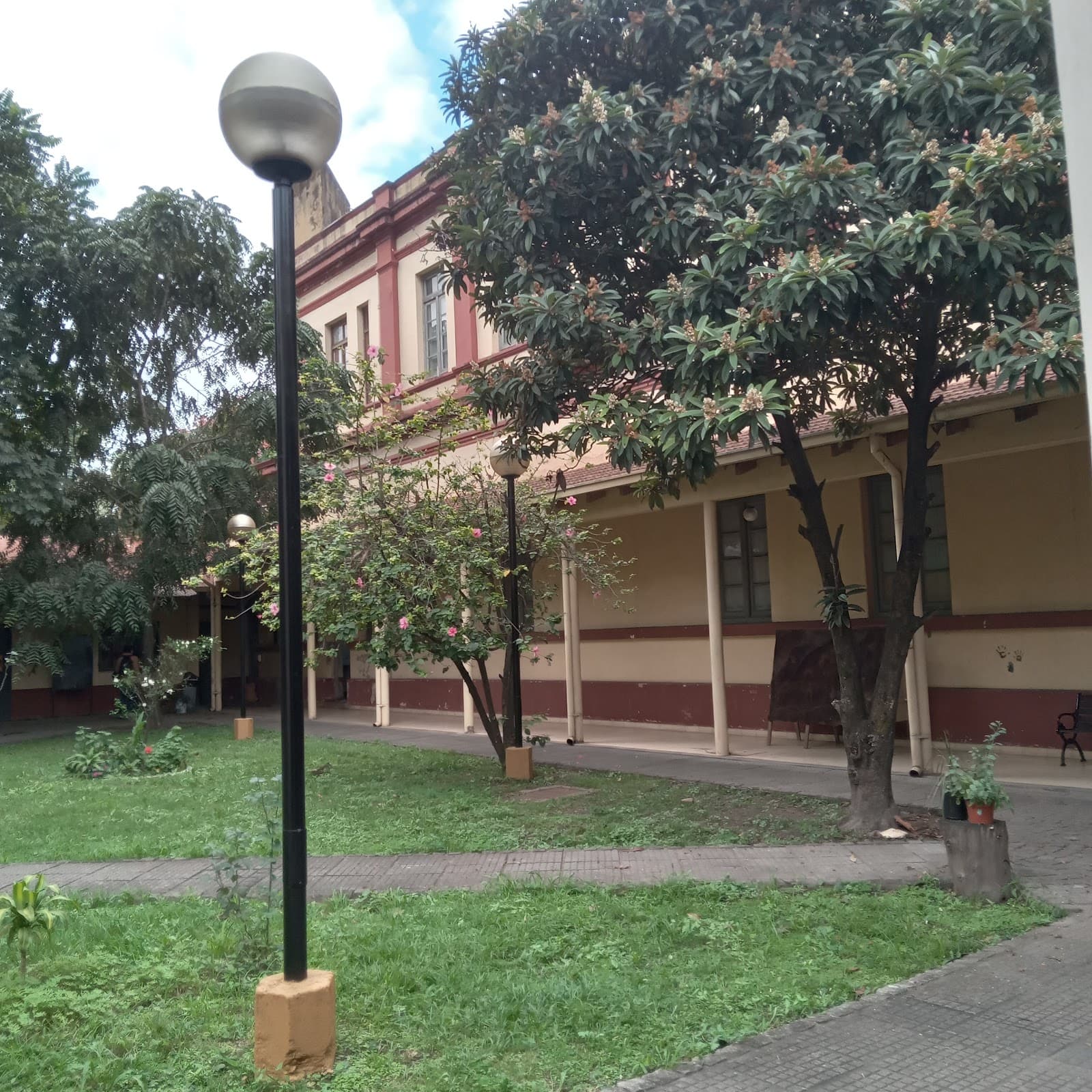 MUNT Museo de la Universidad Nacional de Tucumán - Image 1