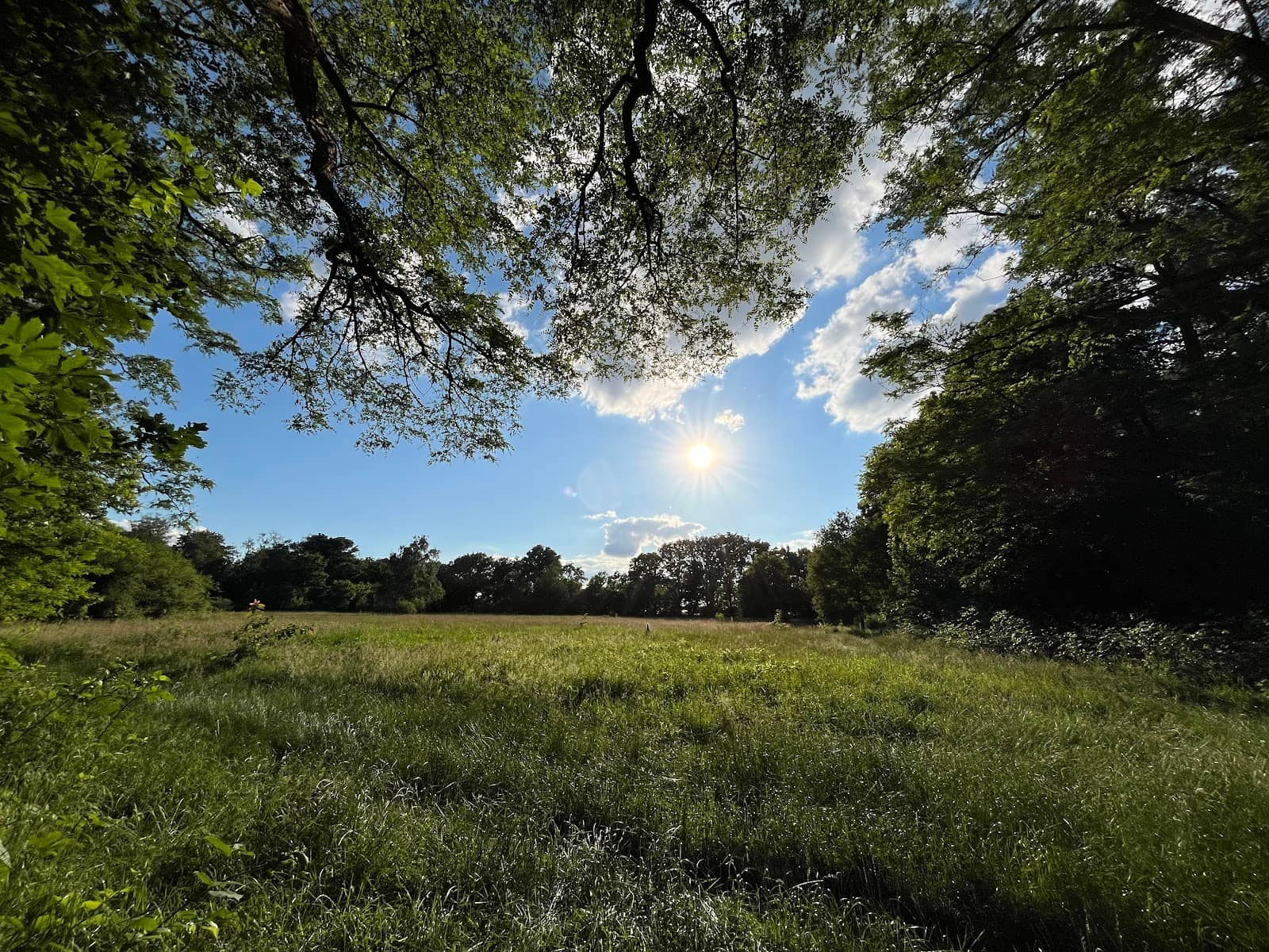 Scenic Walking & Cycling Paths