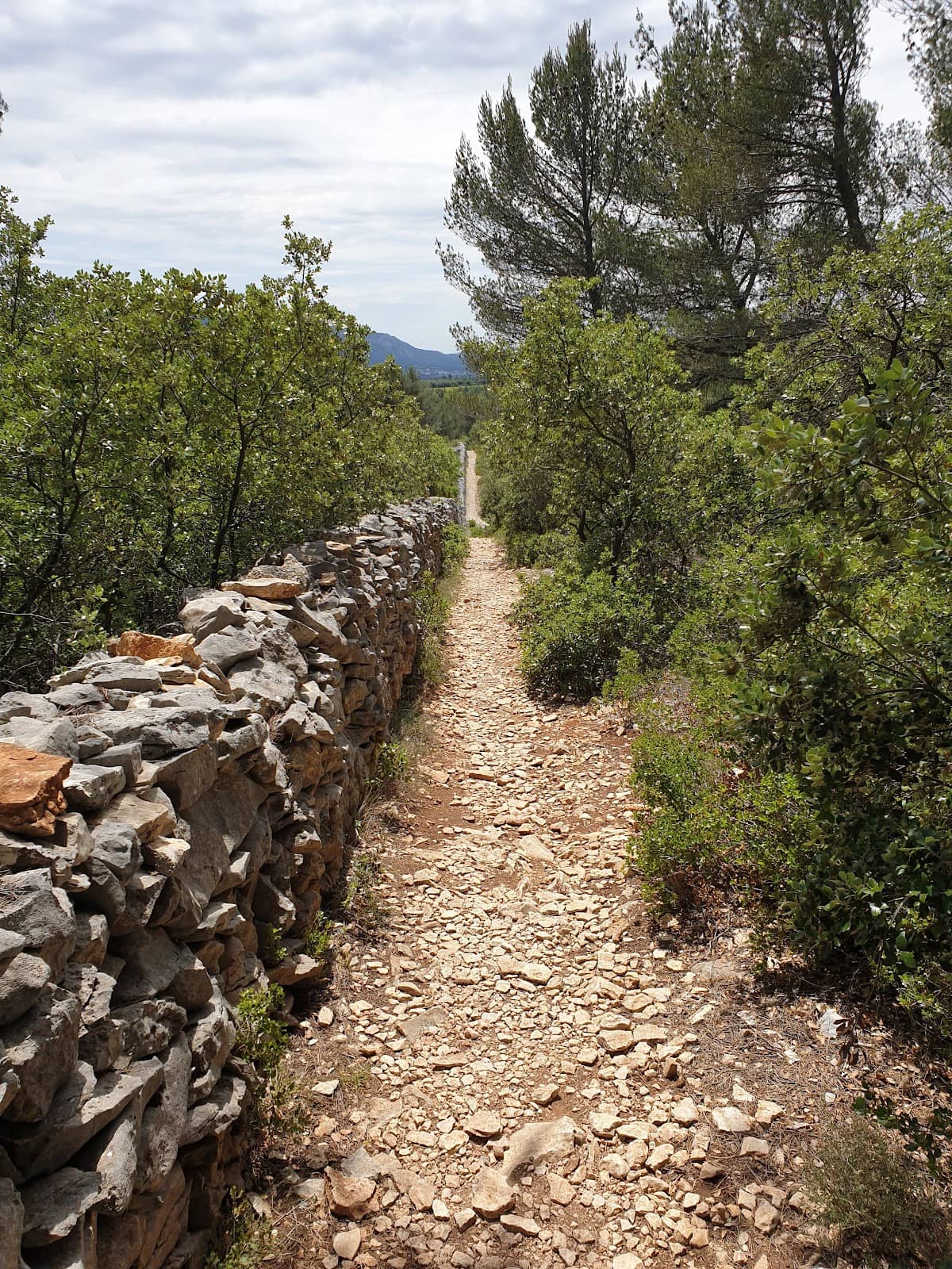 The Stone Path Ascent