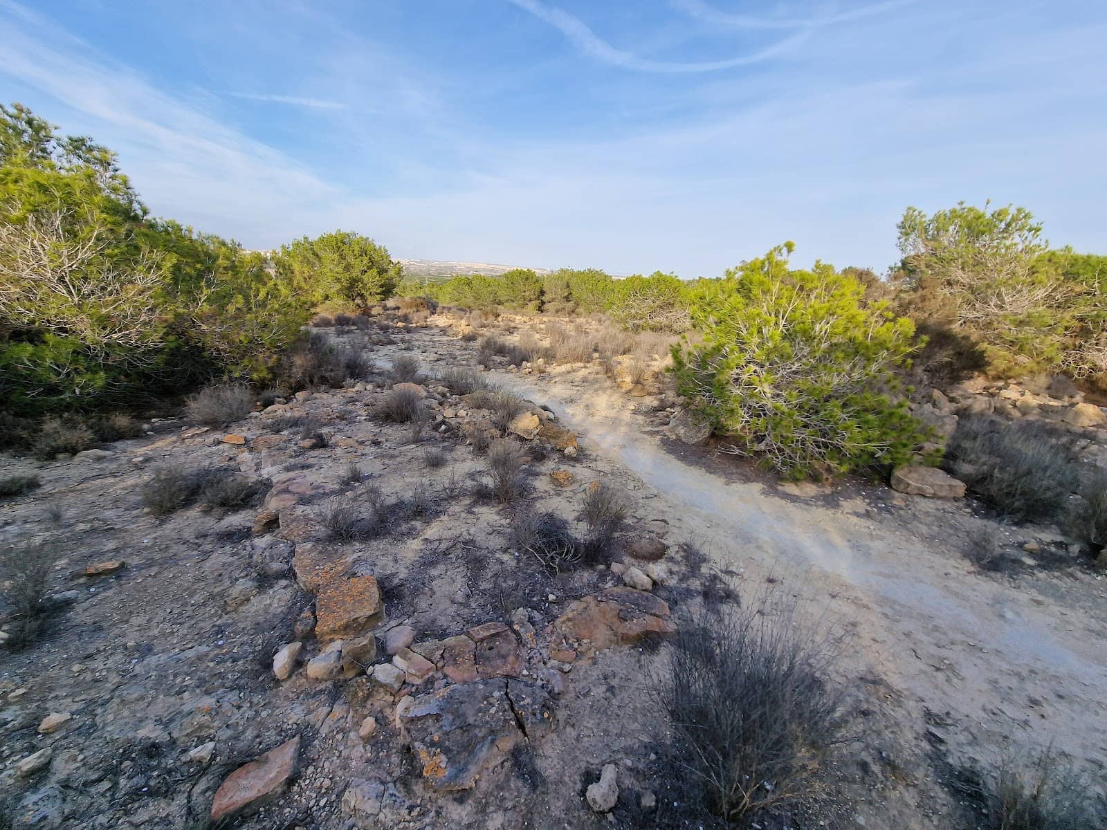 Lady of Guardamar Discovery Site