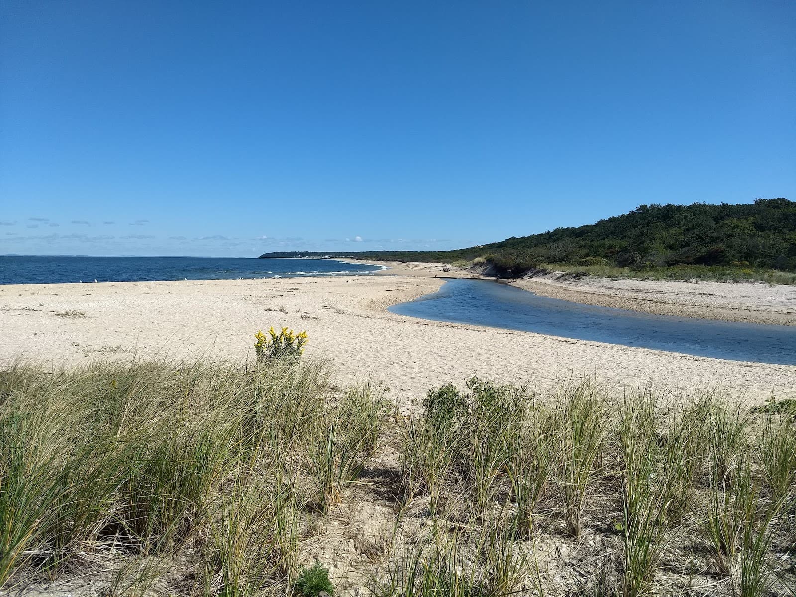 Goldsmith Inlet Park - Image 1