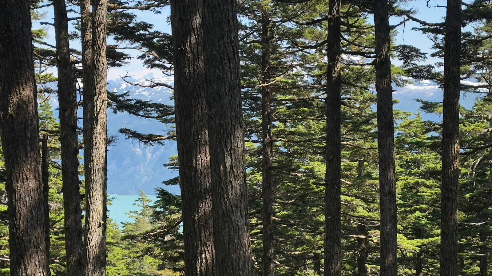 Vertical photo