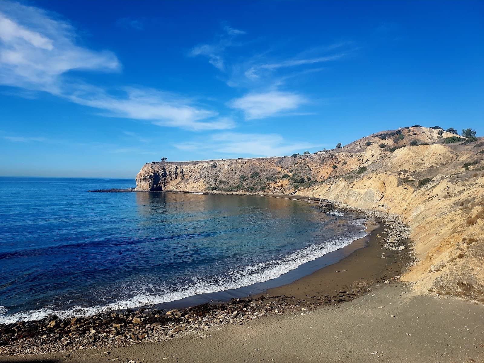 Tidal Pool Discoveries
